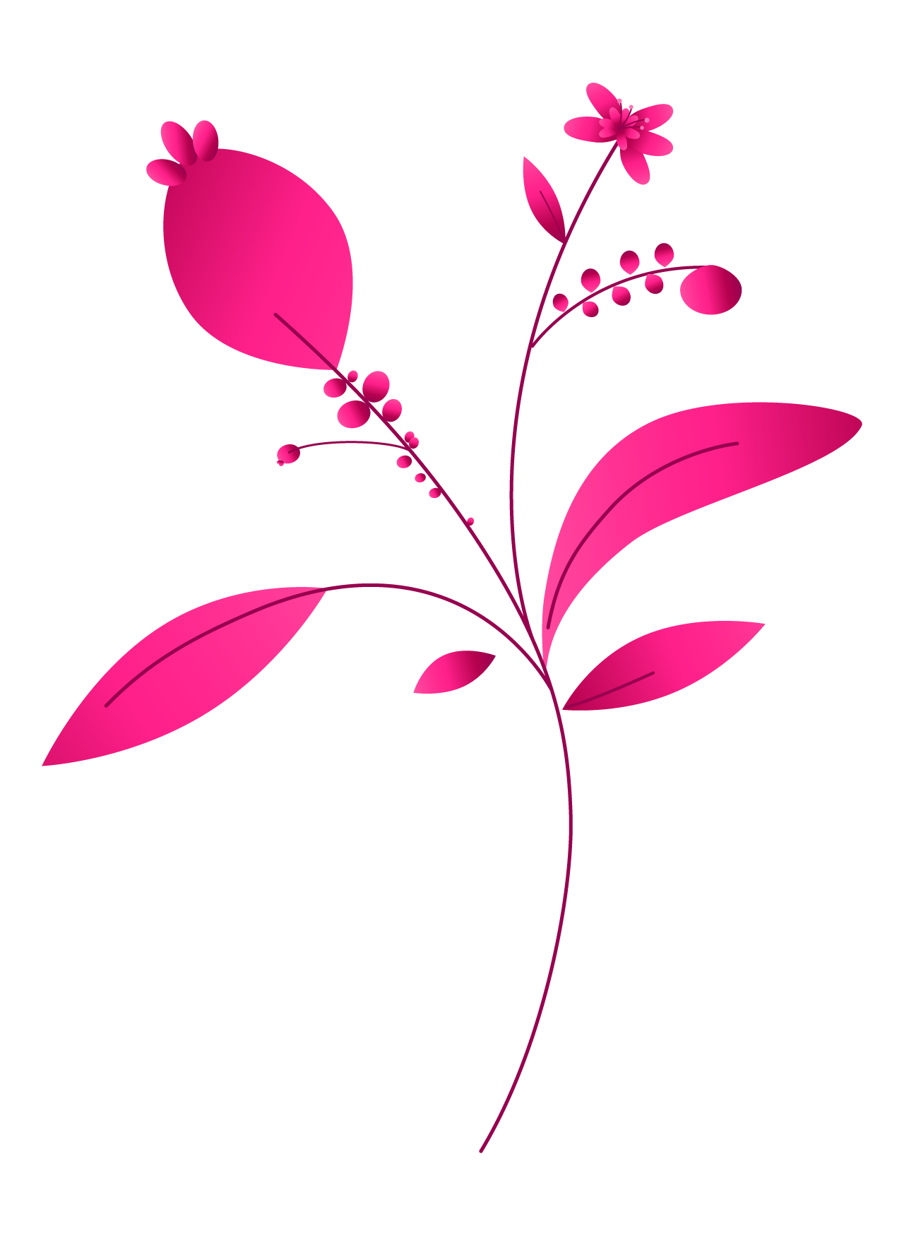 Plants02