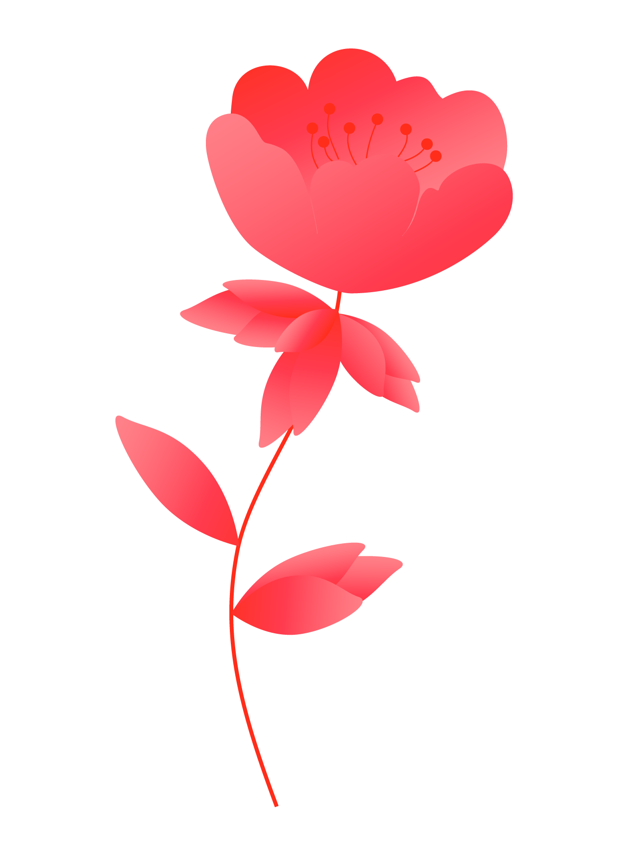 Plants04