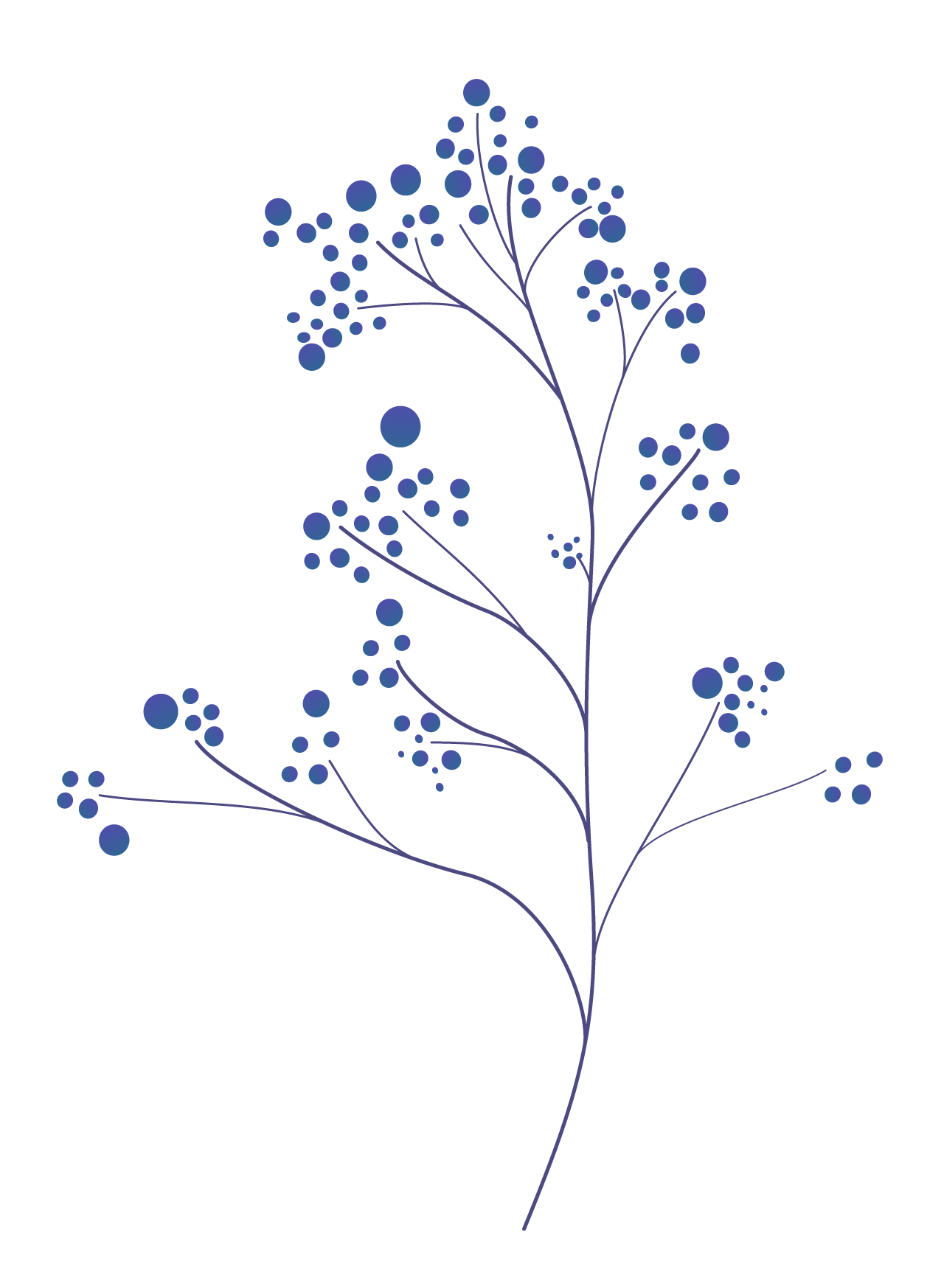 Plants07