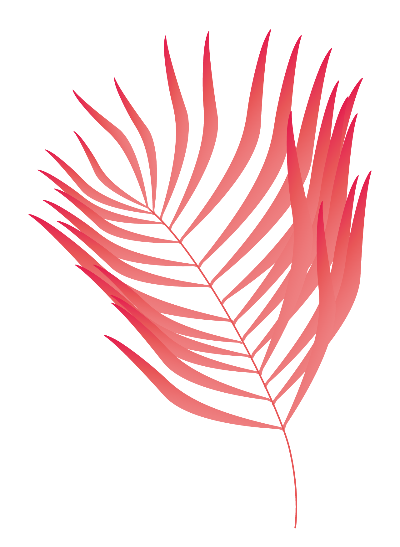 Plants08