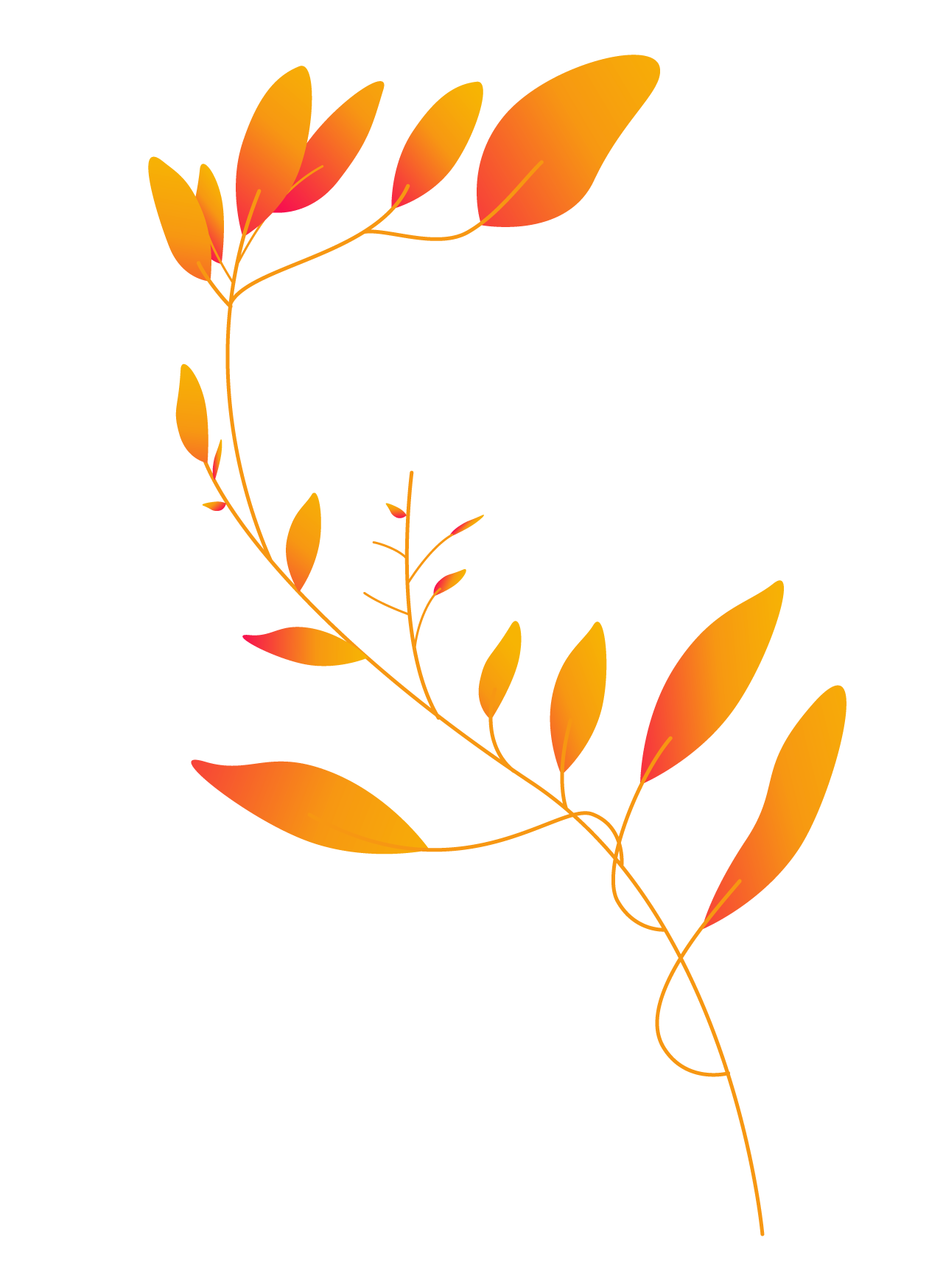 Plants11 copy