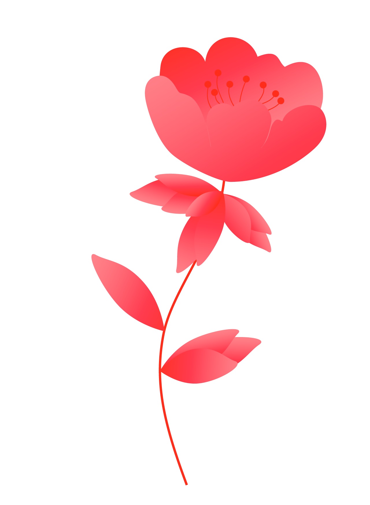 Plants12