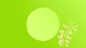 gardenpatch Insights