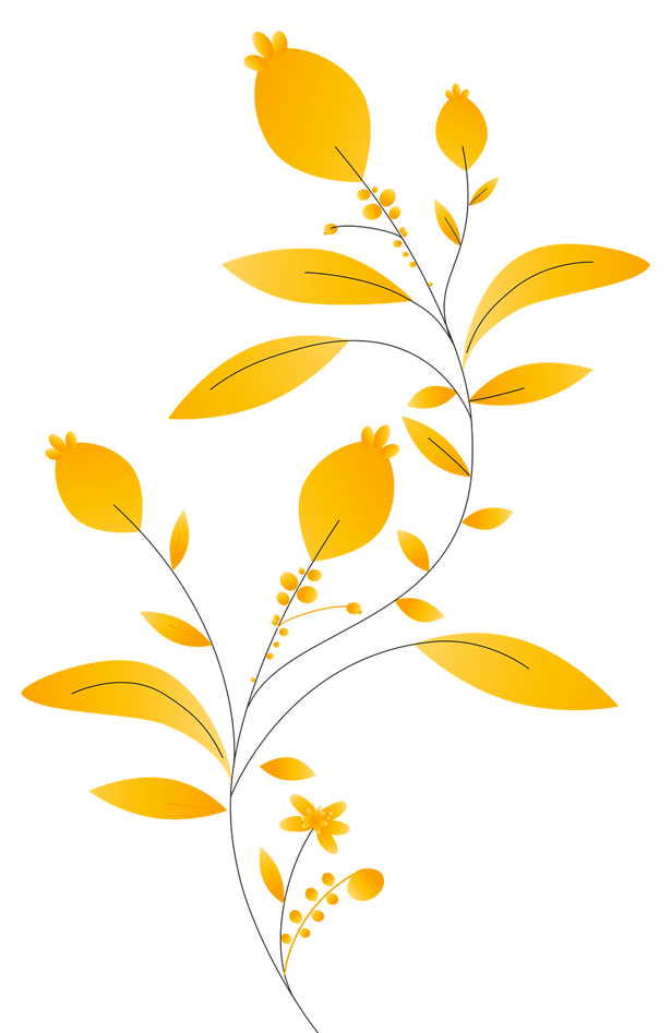 Operation Flower V1