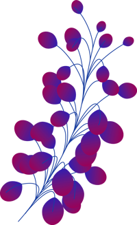Plants+circles-M11B-1
