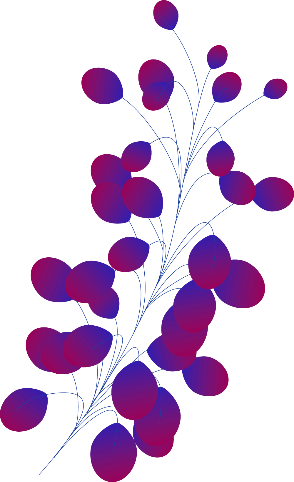 Plants+circles-M11B