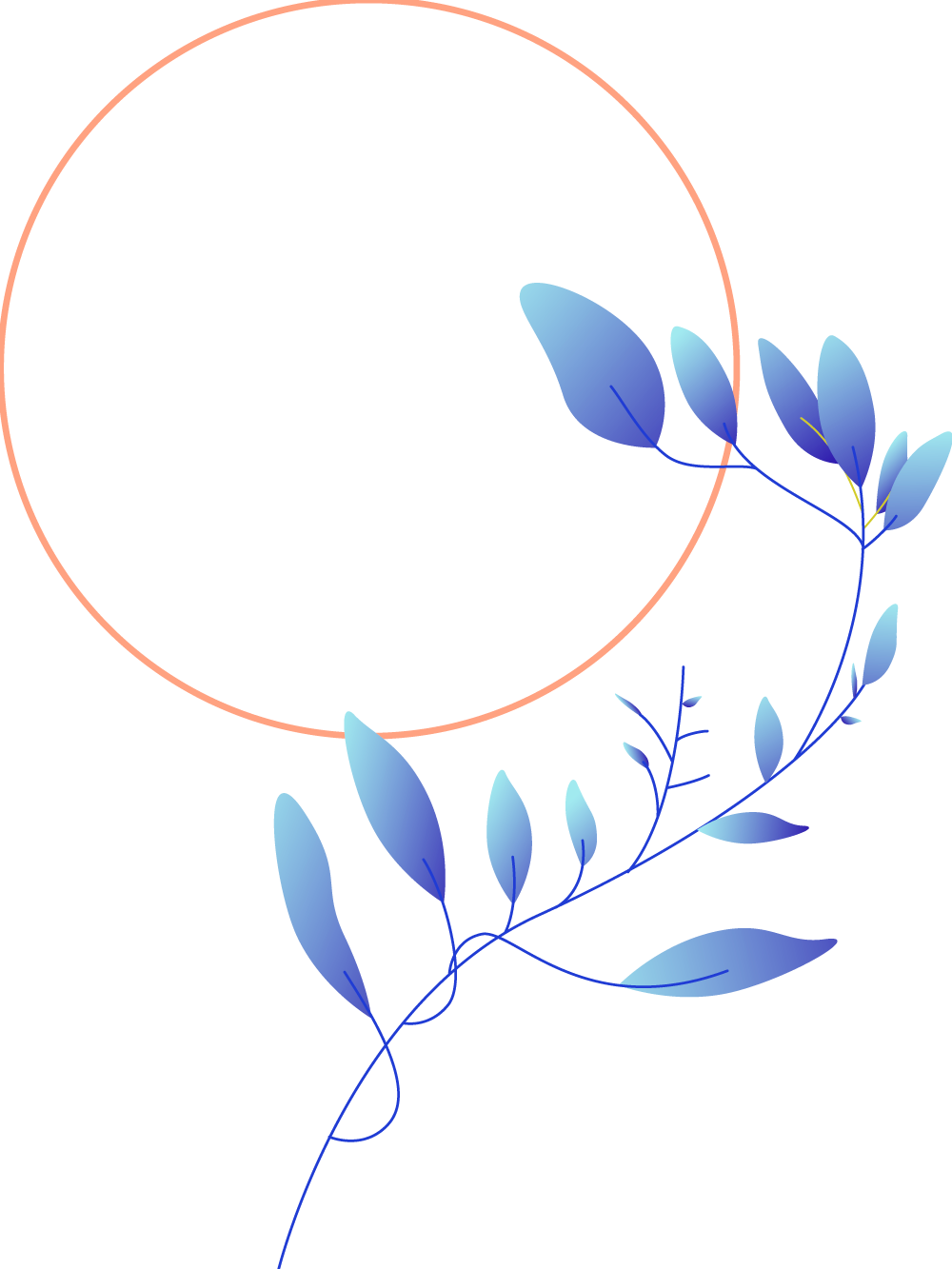 Plants+circles-M3