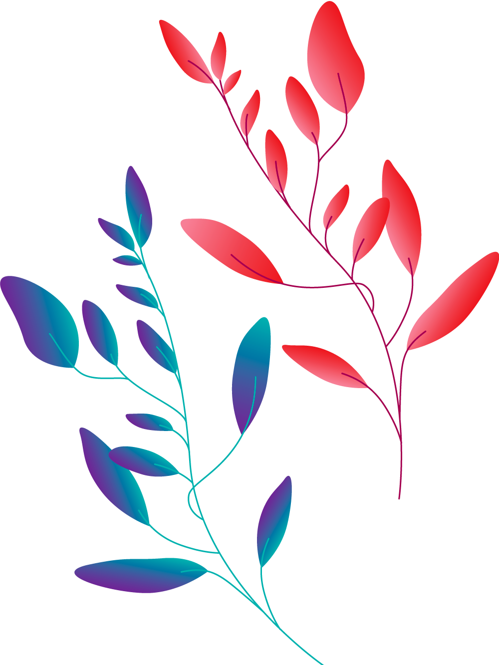 Plants+circles-M7