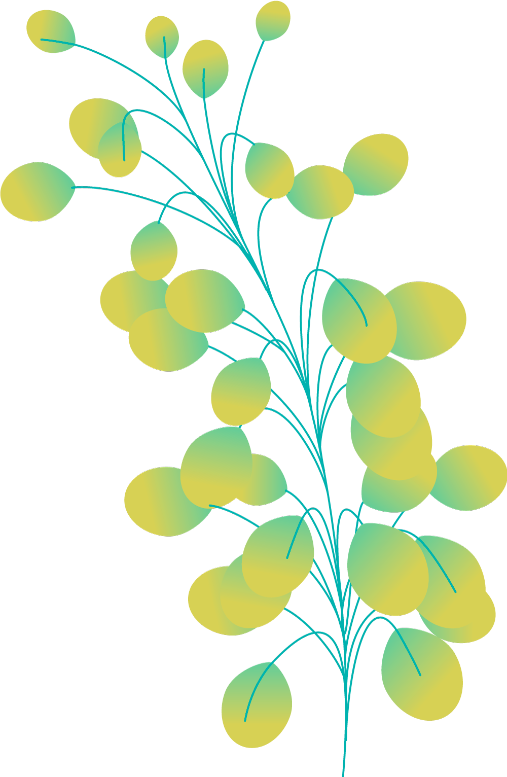 Plants+circles-M8B Plants+circles-M8B