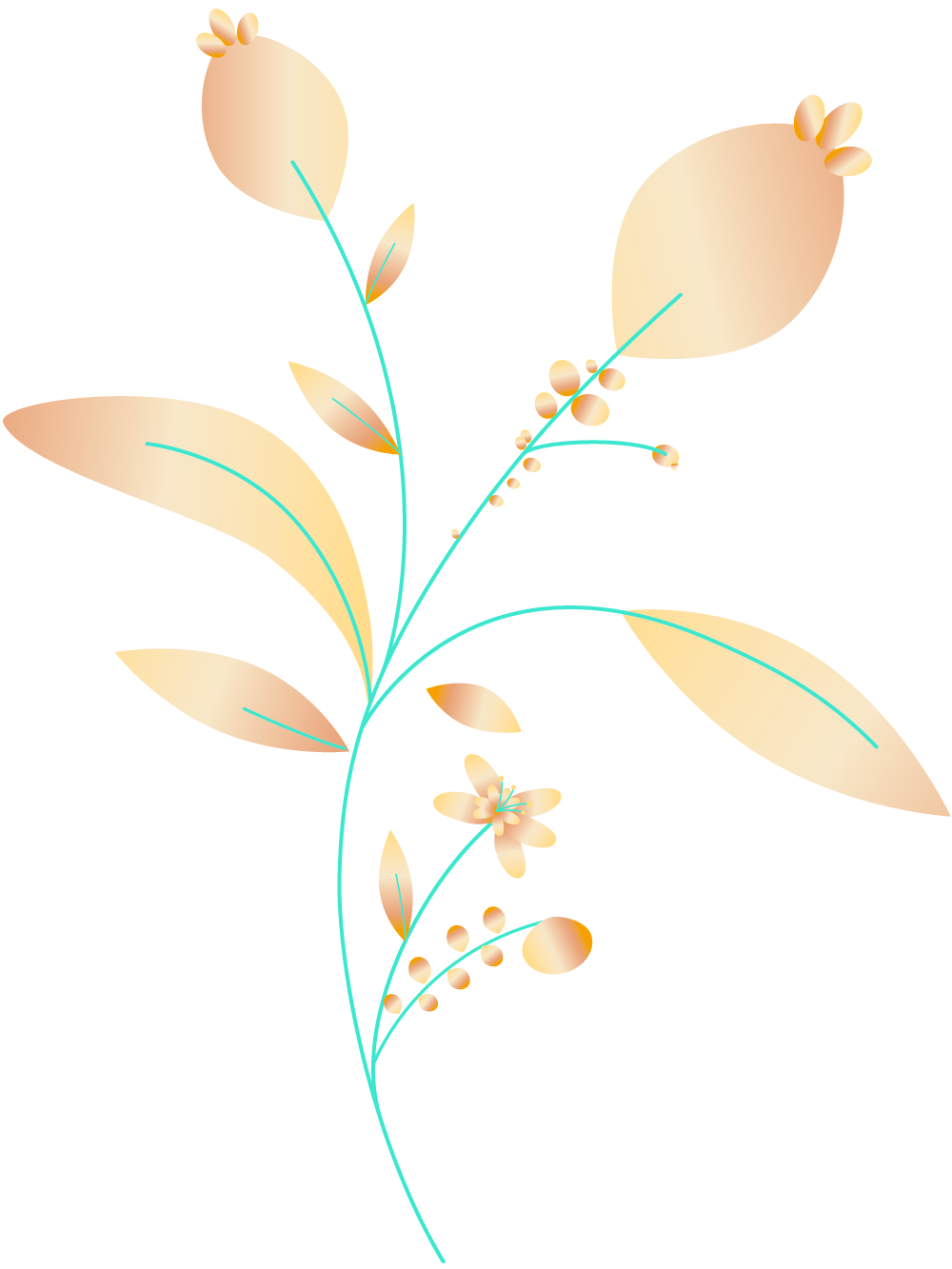 Plants+circles-M9B