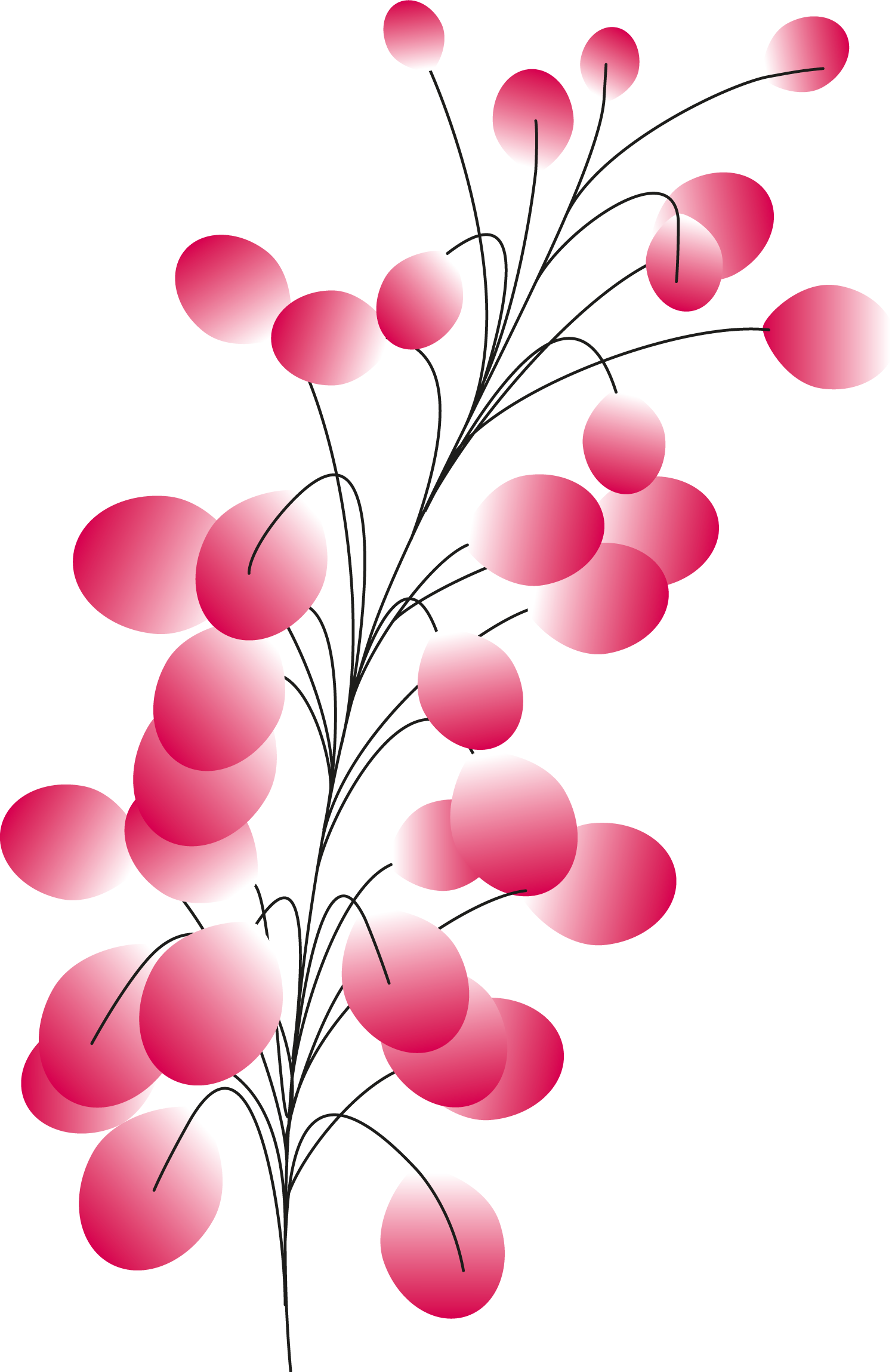 Plants+circles11b Plants+circles11b