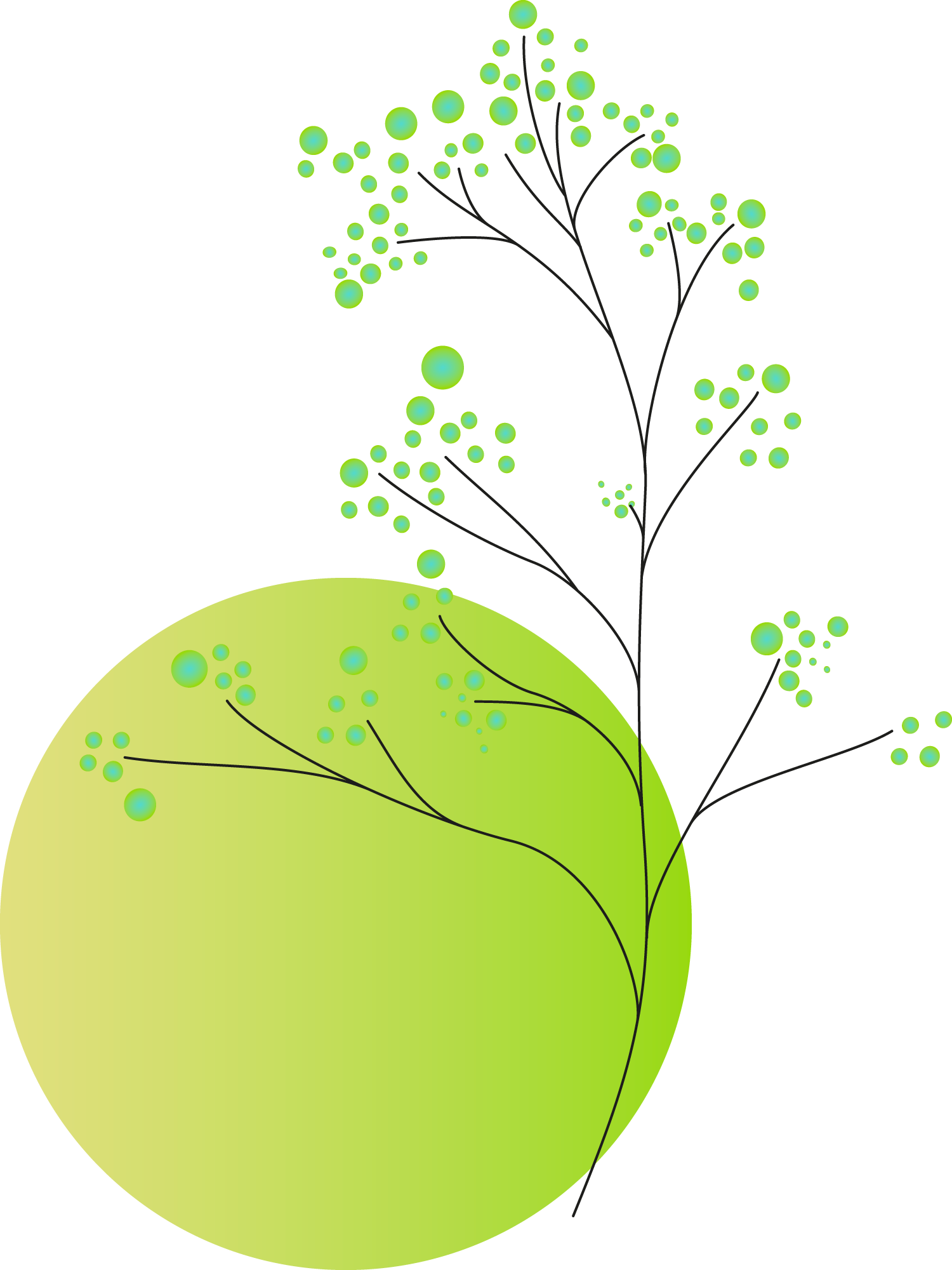 Plants+circles13a Plants+circles13a