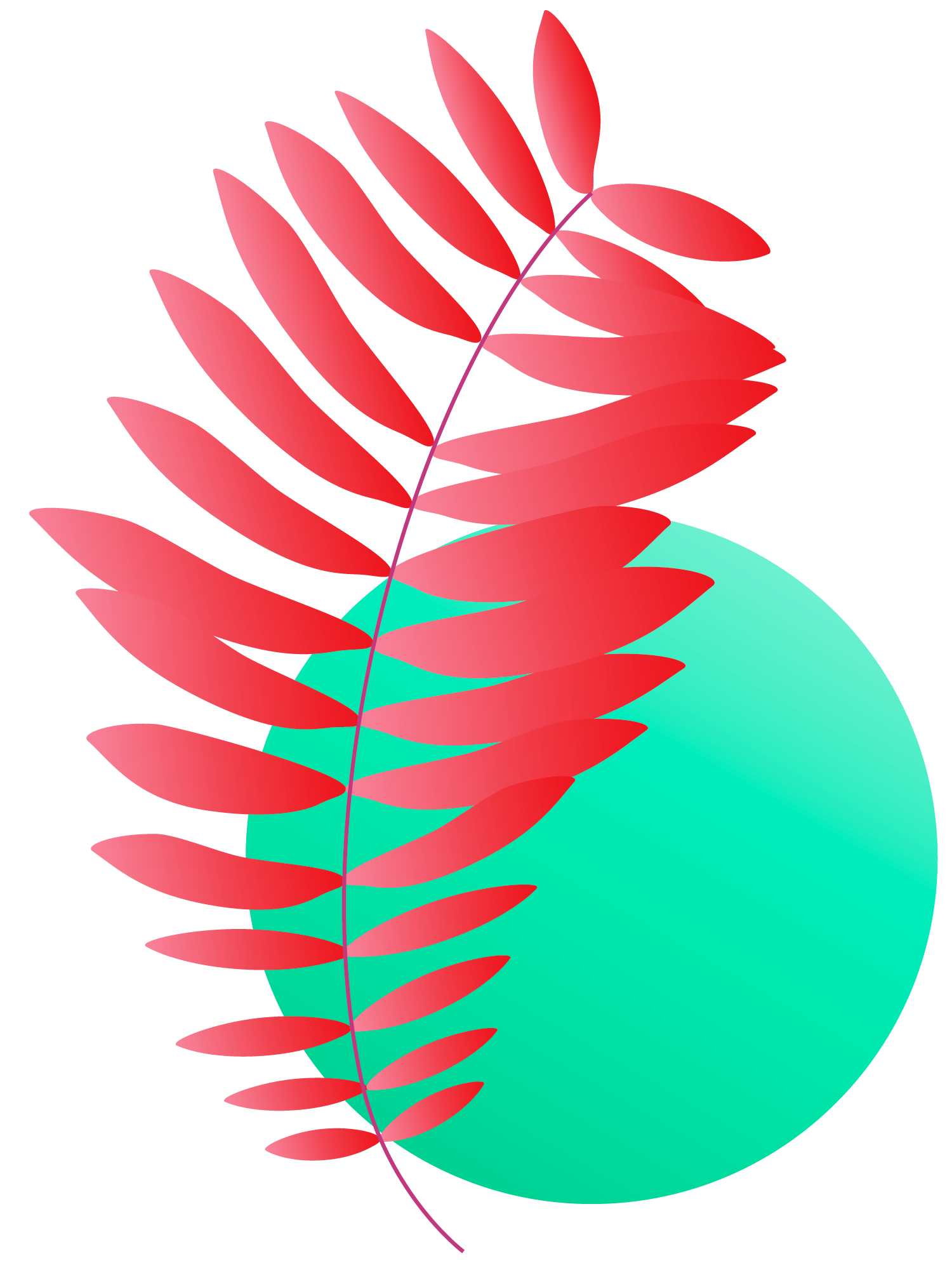 Plants+circles2A
