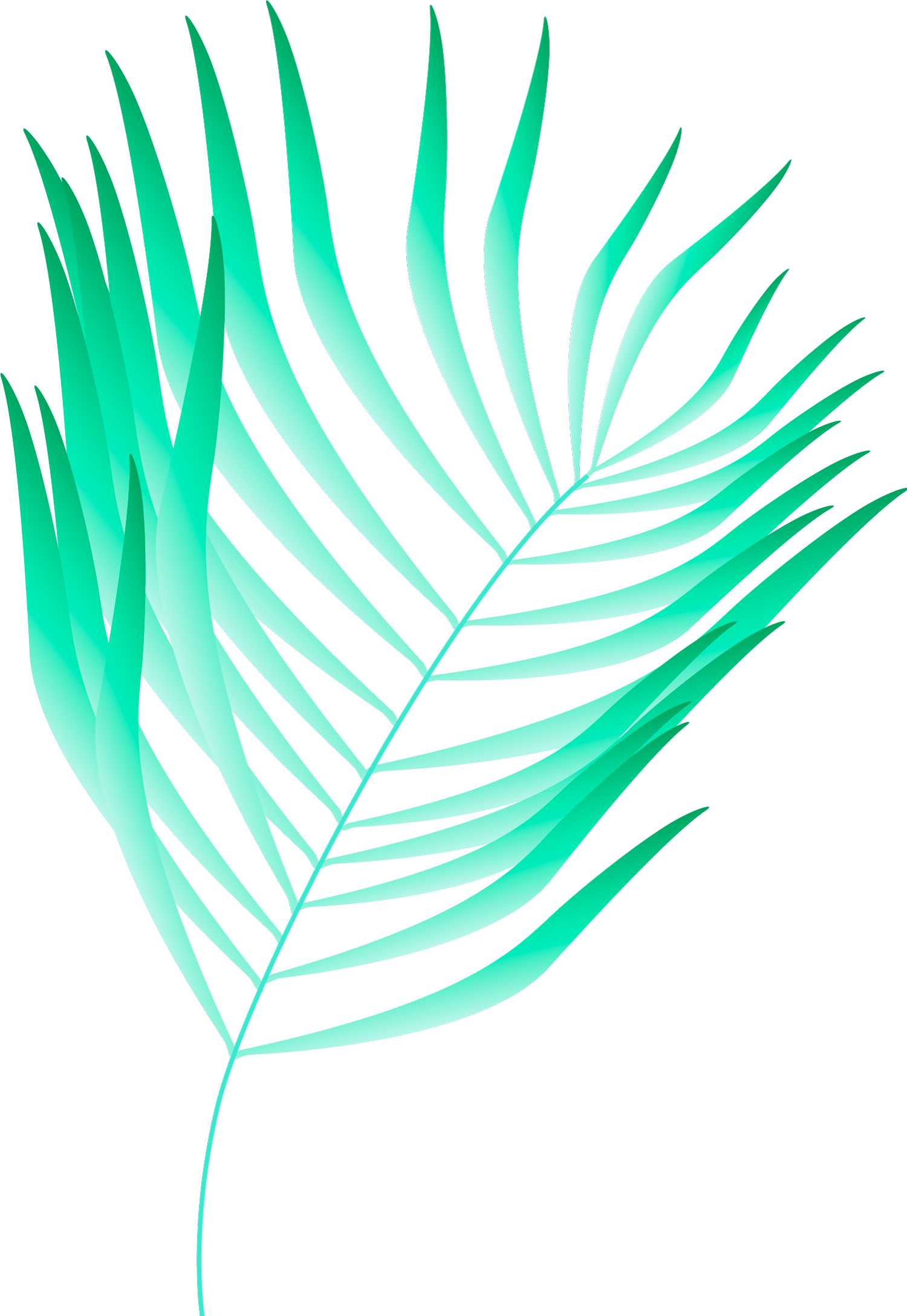 Plants+circles2B