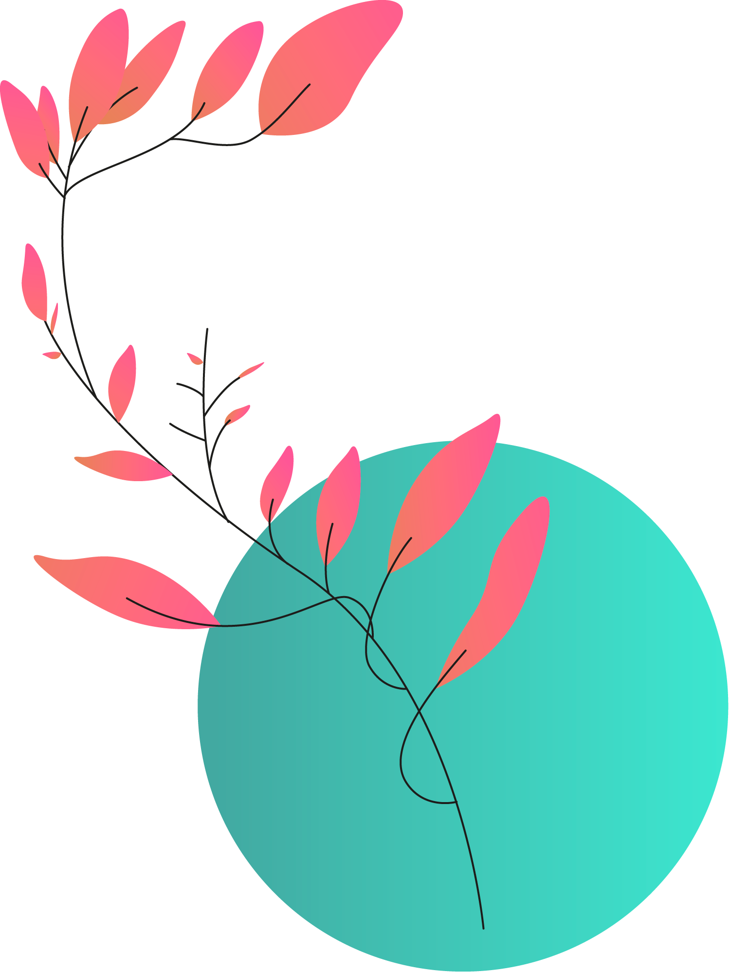 Plants+circles2a