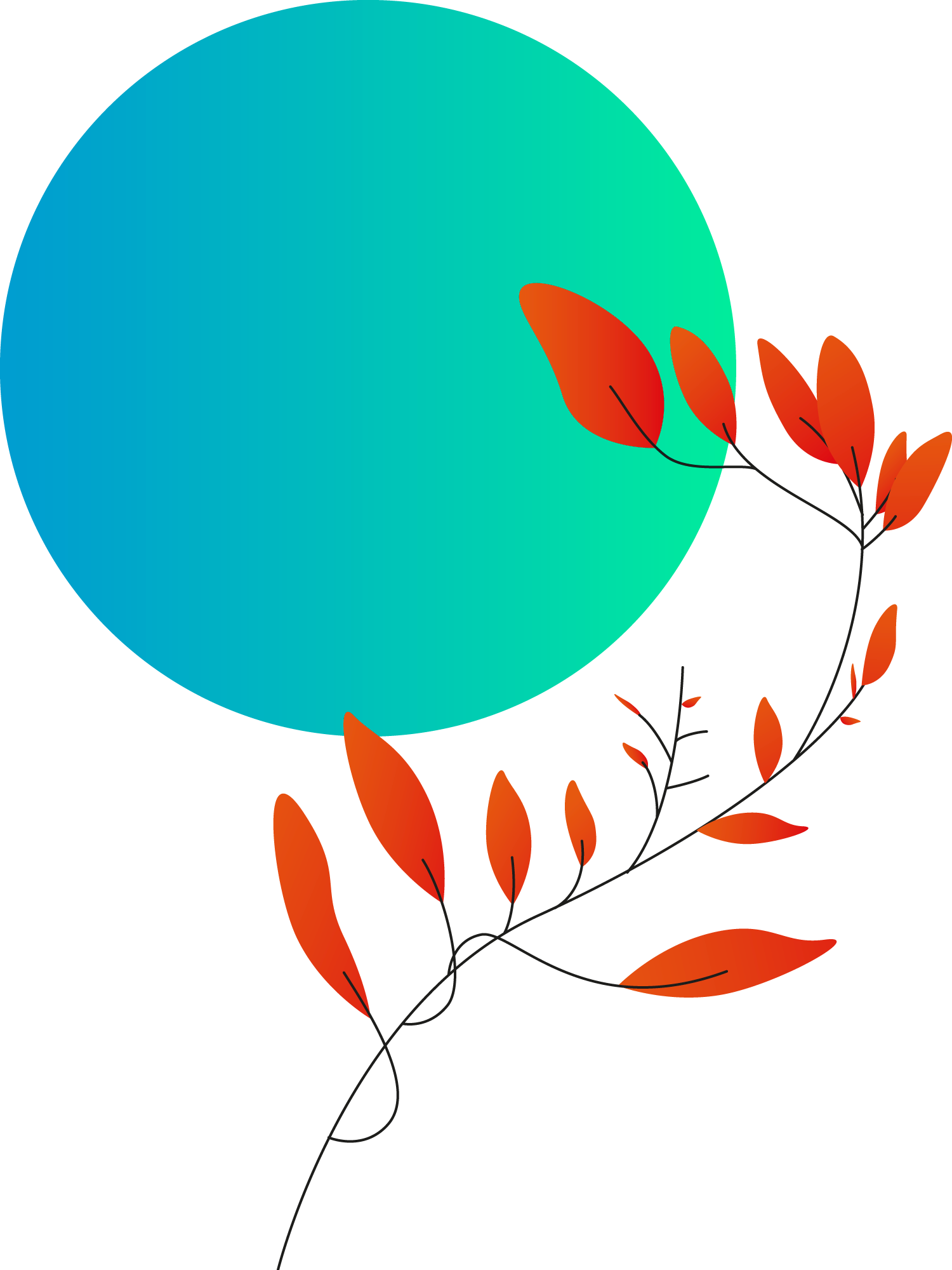 Plants+circles4a