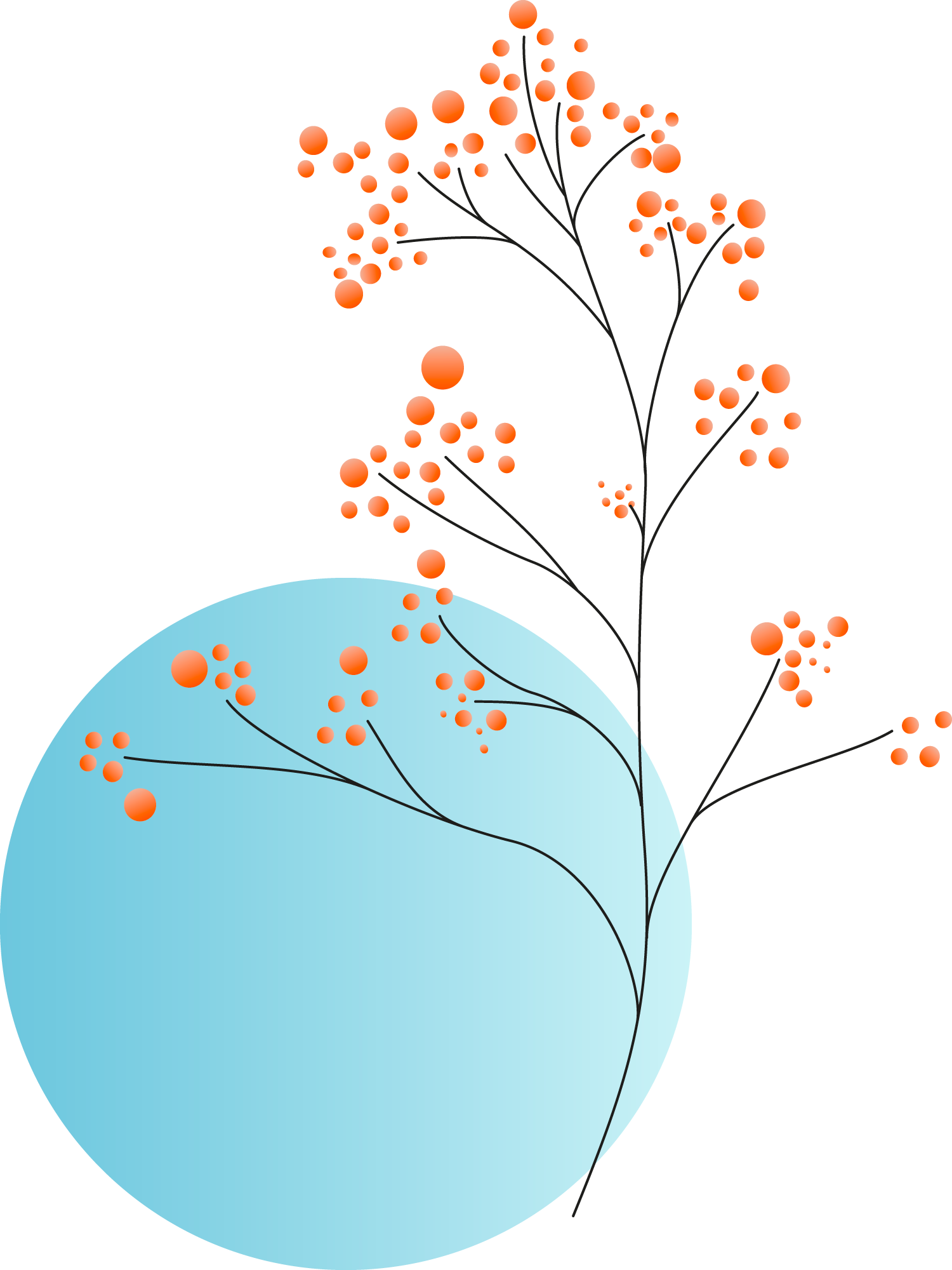 Plants+circles5b Plants+circles5b