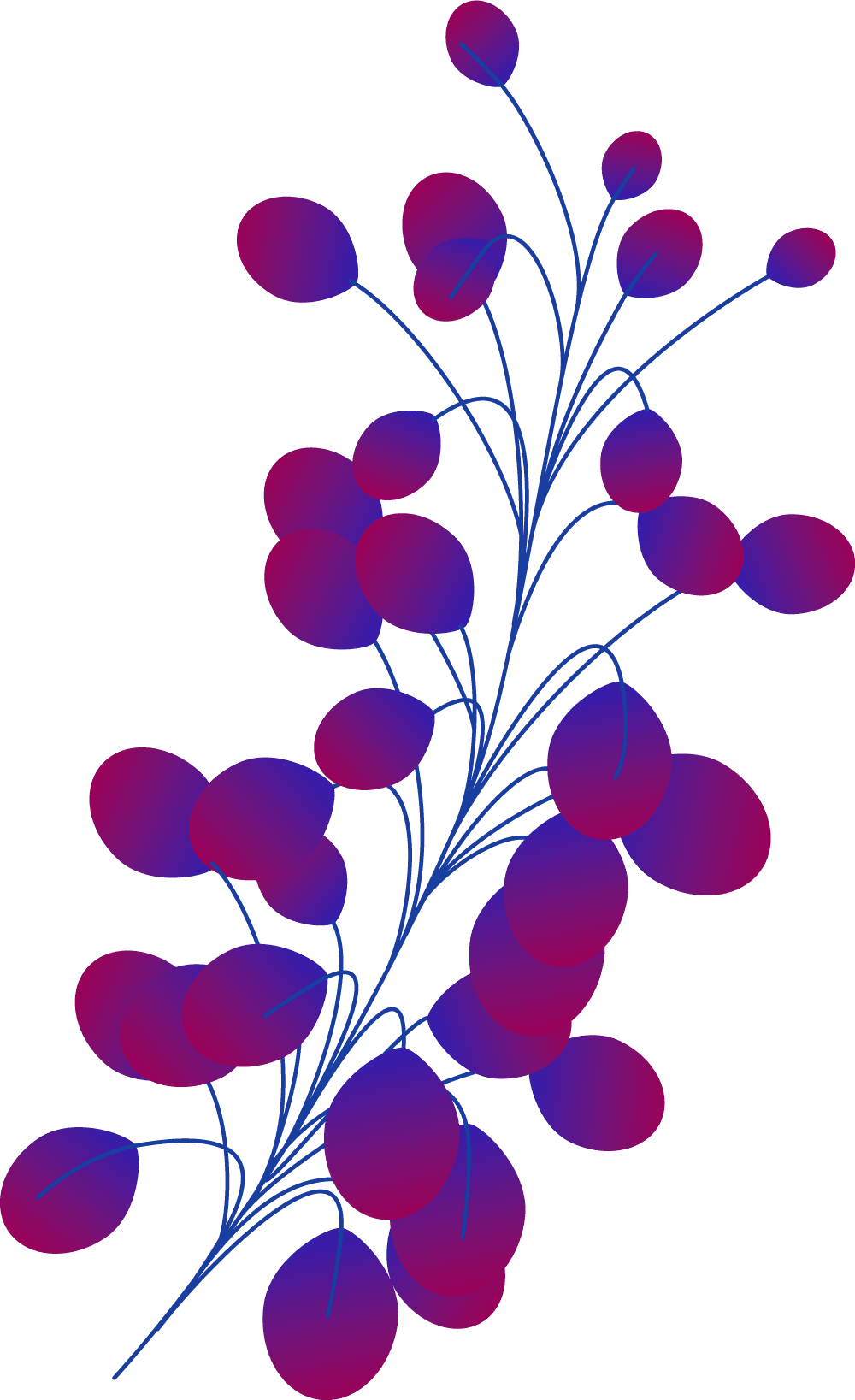 Plants+circles-M11B-1