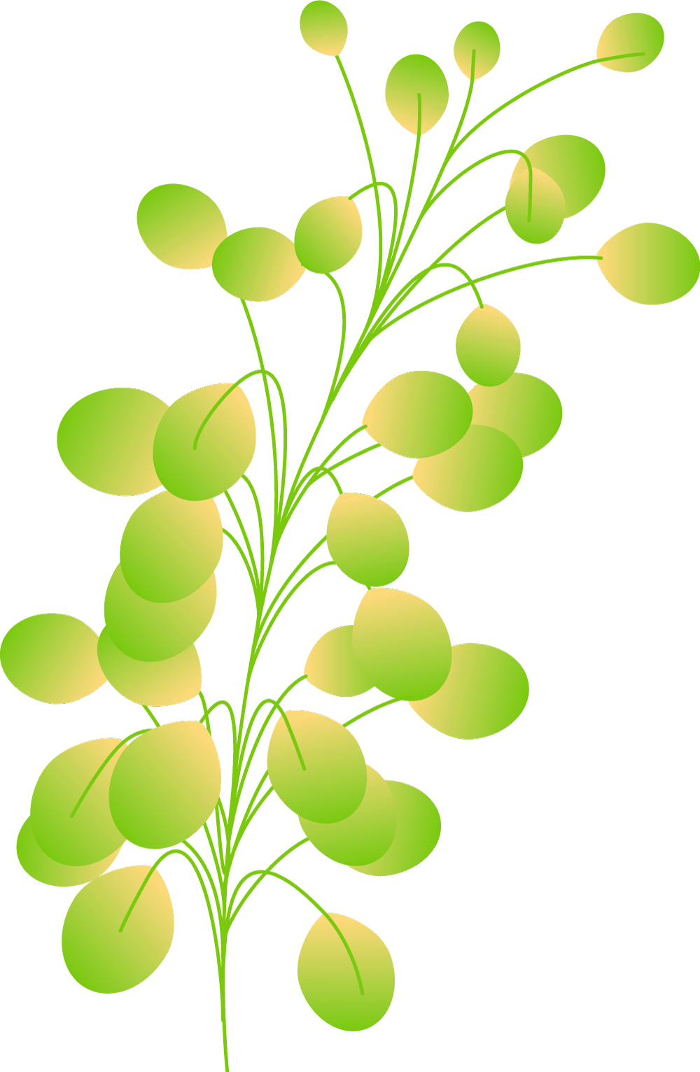 Plants+circles-M13-1