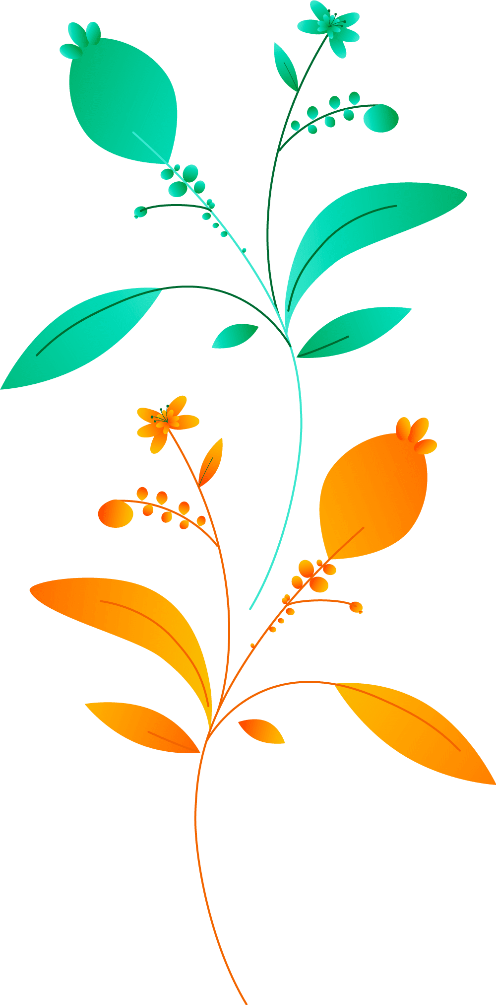 Plants+circles-M14B