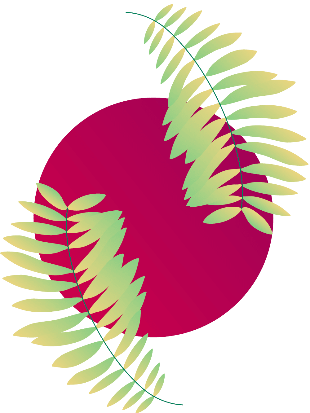 Plants+circles-M17B