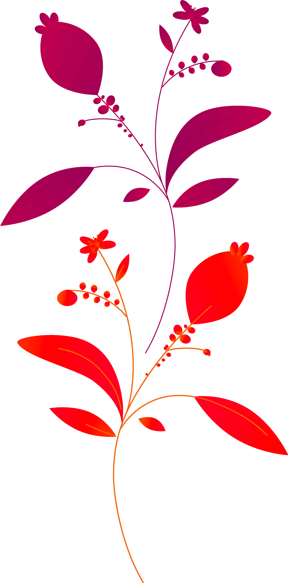 Plants+circles-M18B