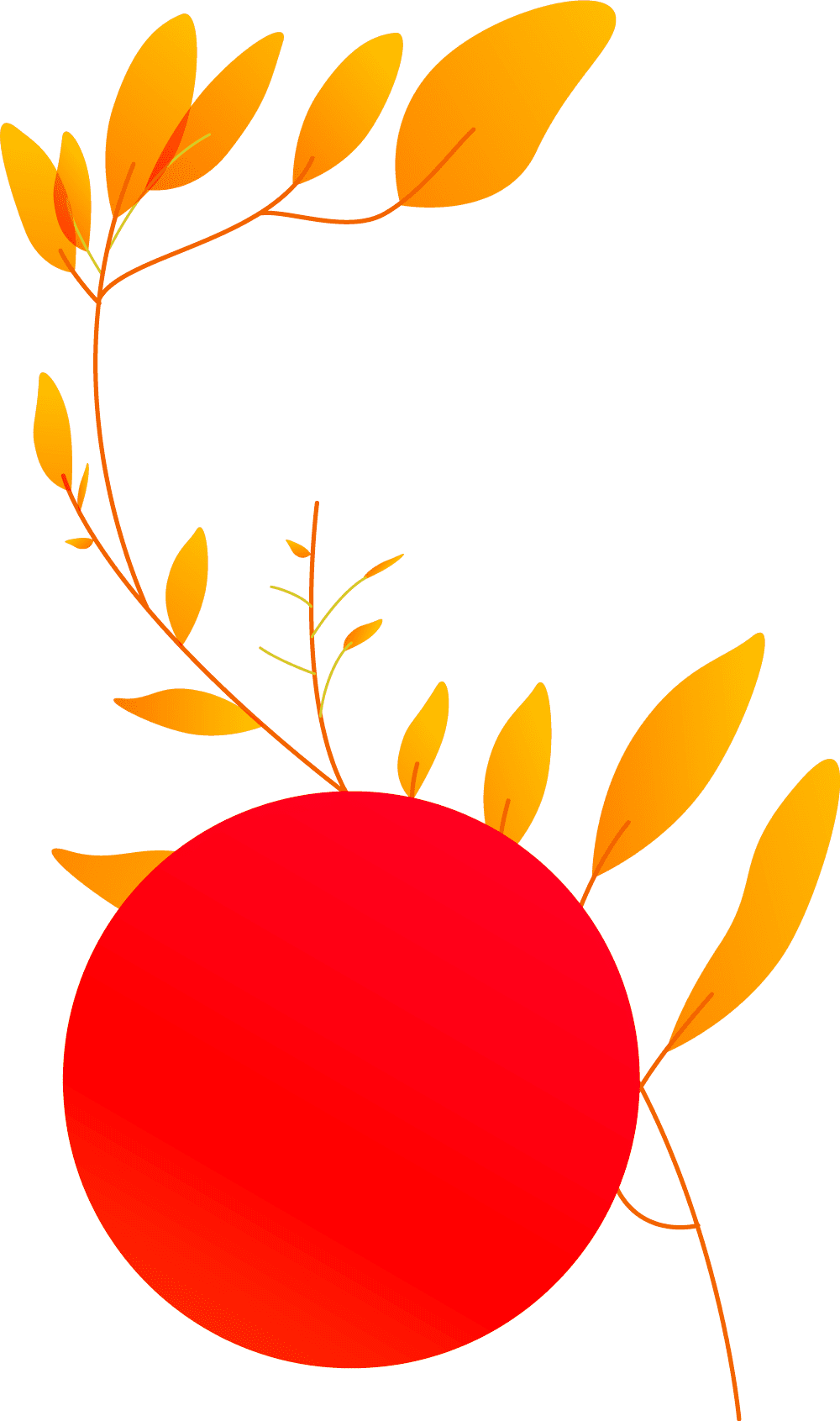Plants+circles-M19B