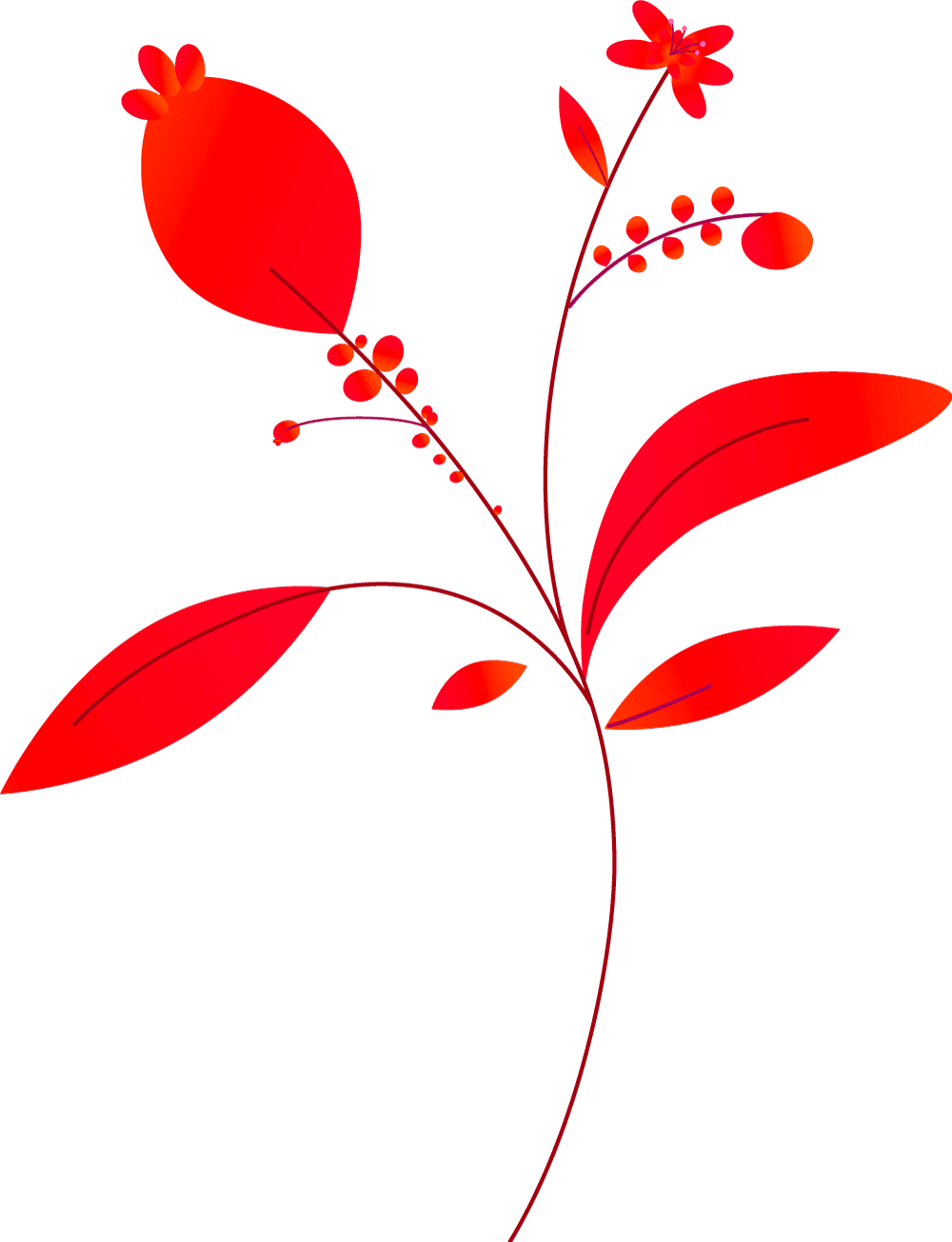 Plants+circles-M20A