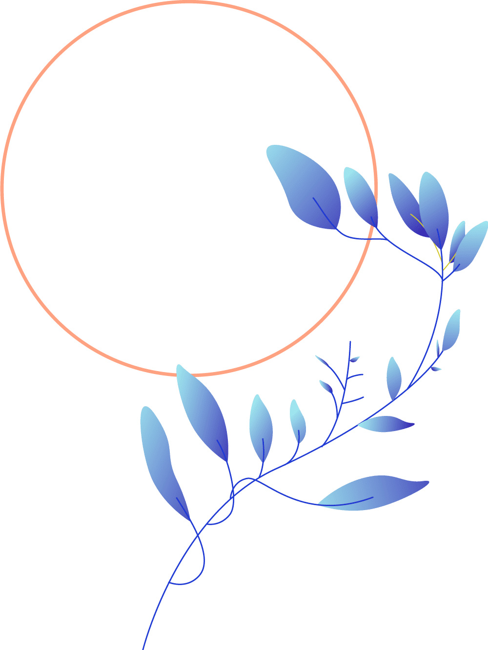 Plants+circles-M3-1