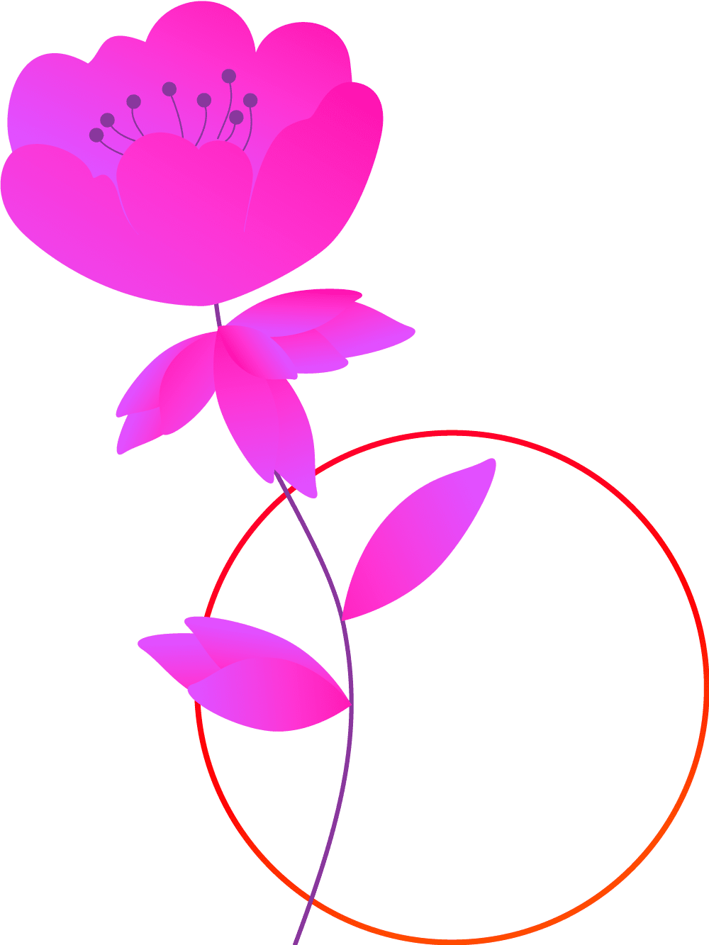Plants+circles-M4B