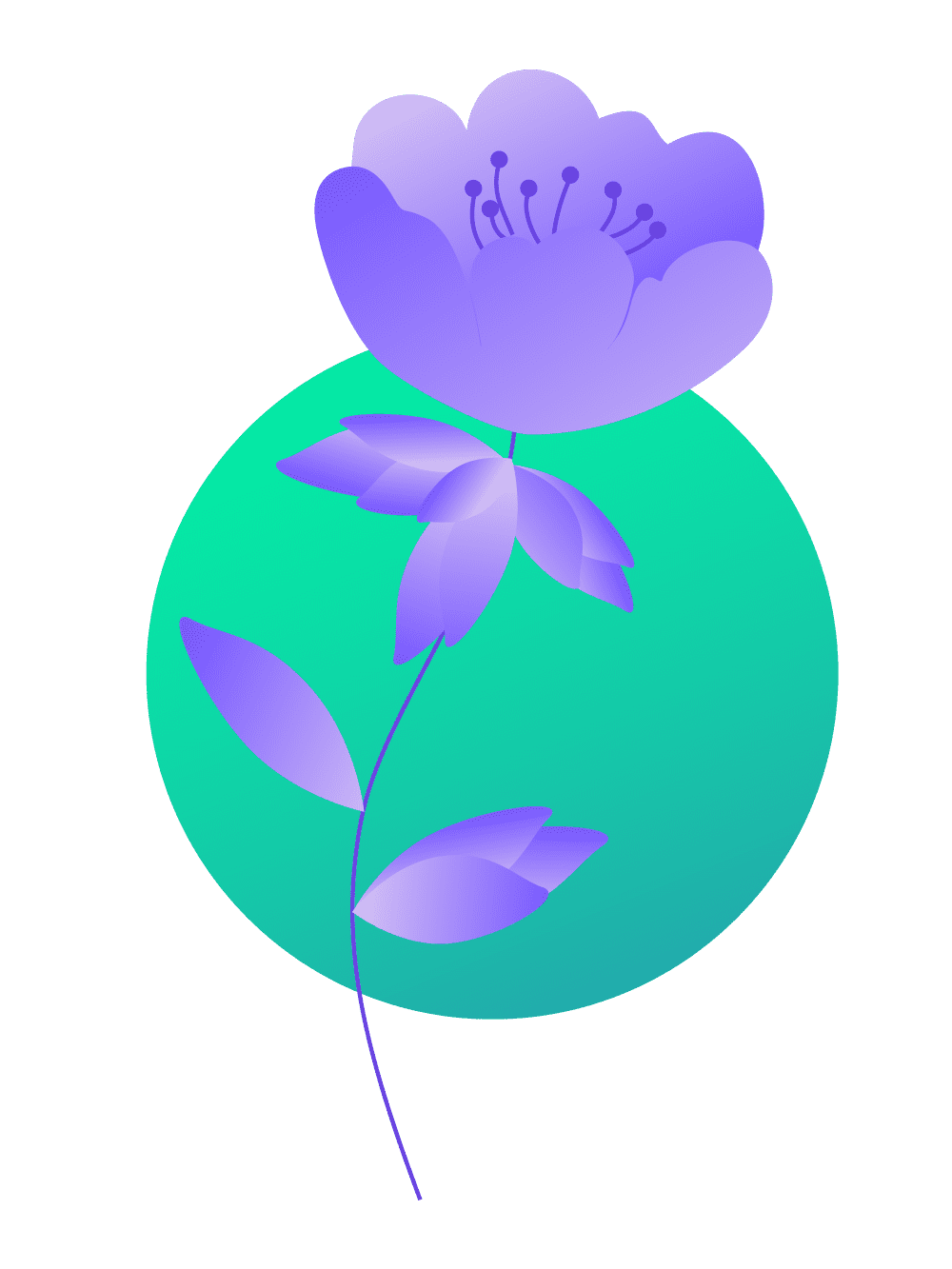 Plants+circles