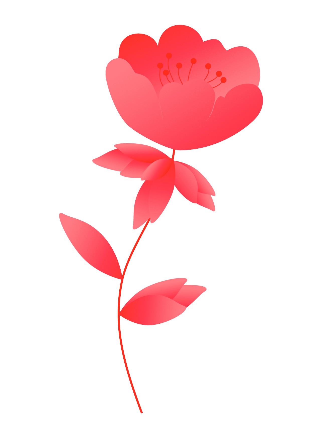 Plants04
