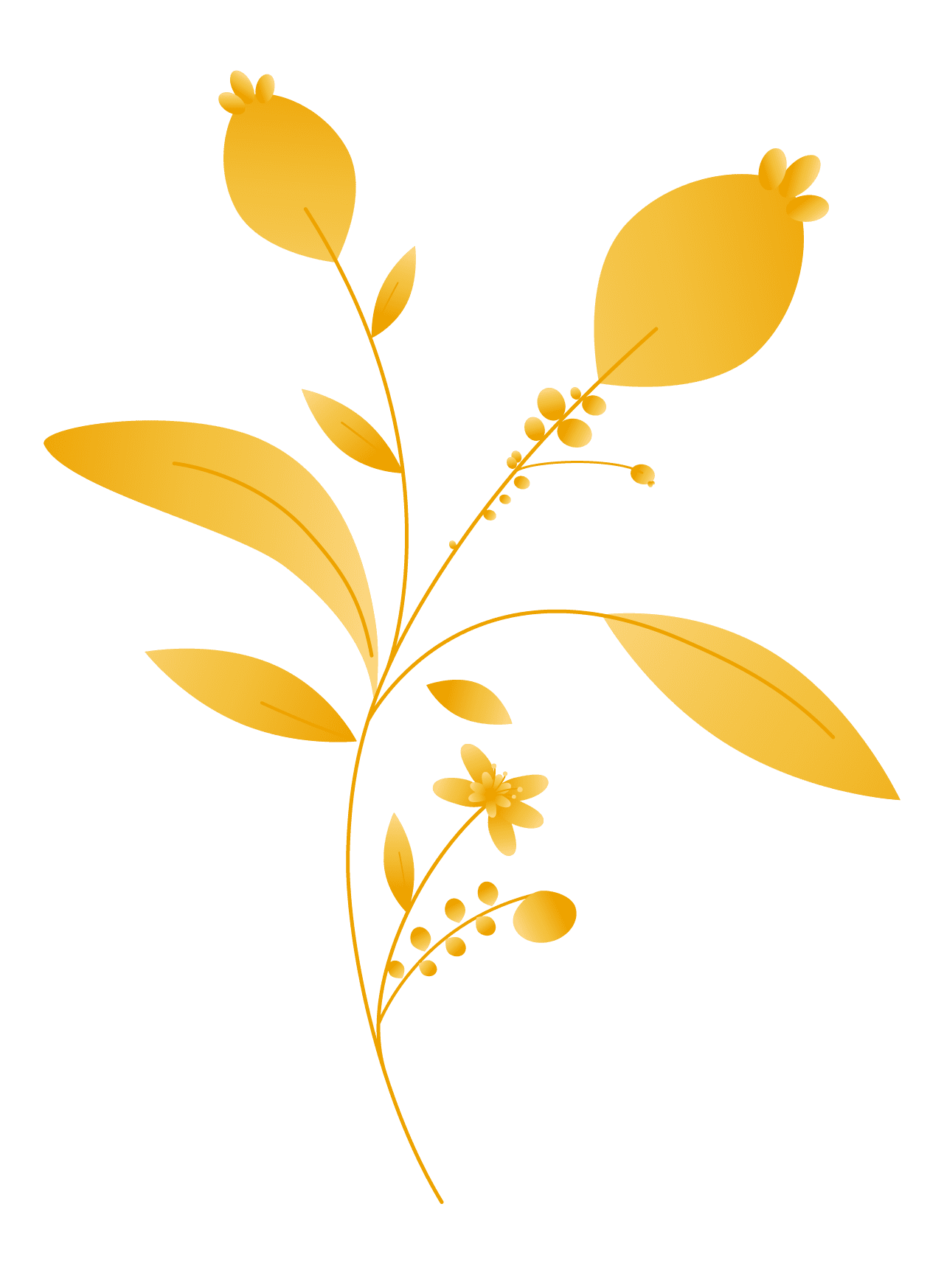 Plants10