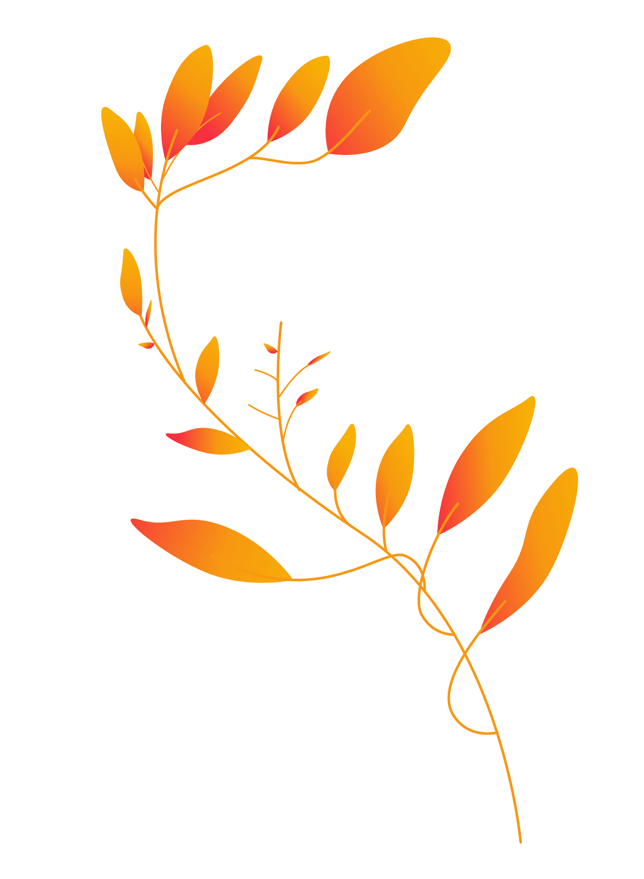 Plants11 copy