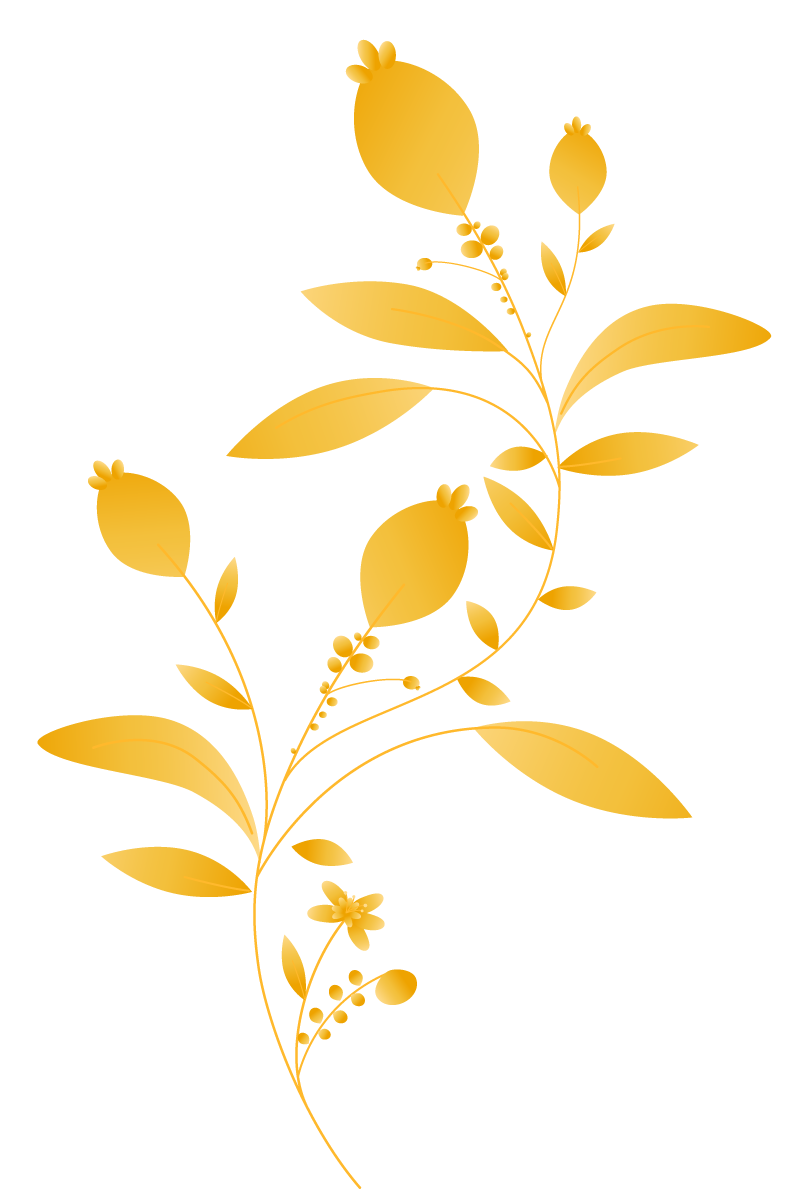 Ggi-growth-C04