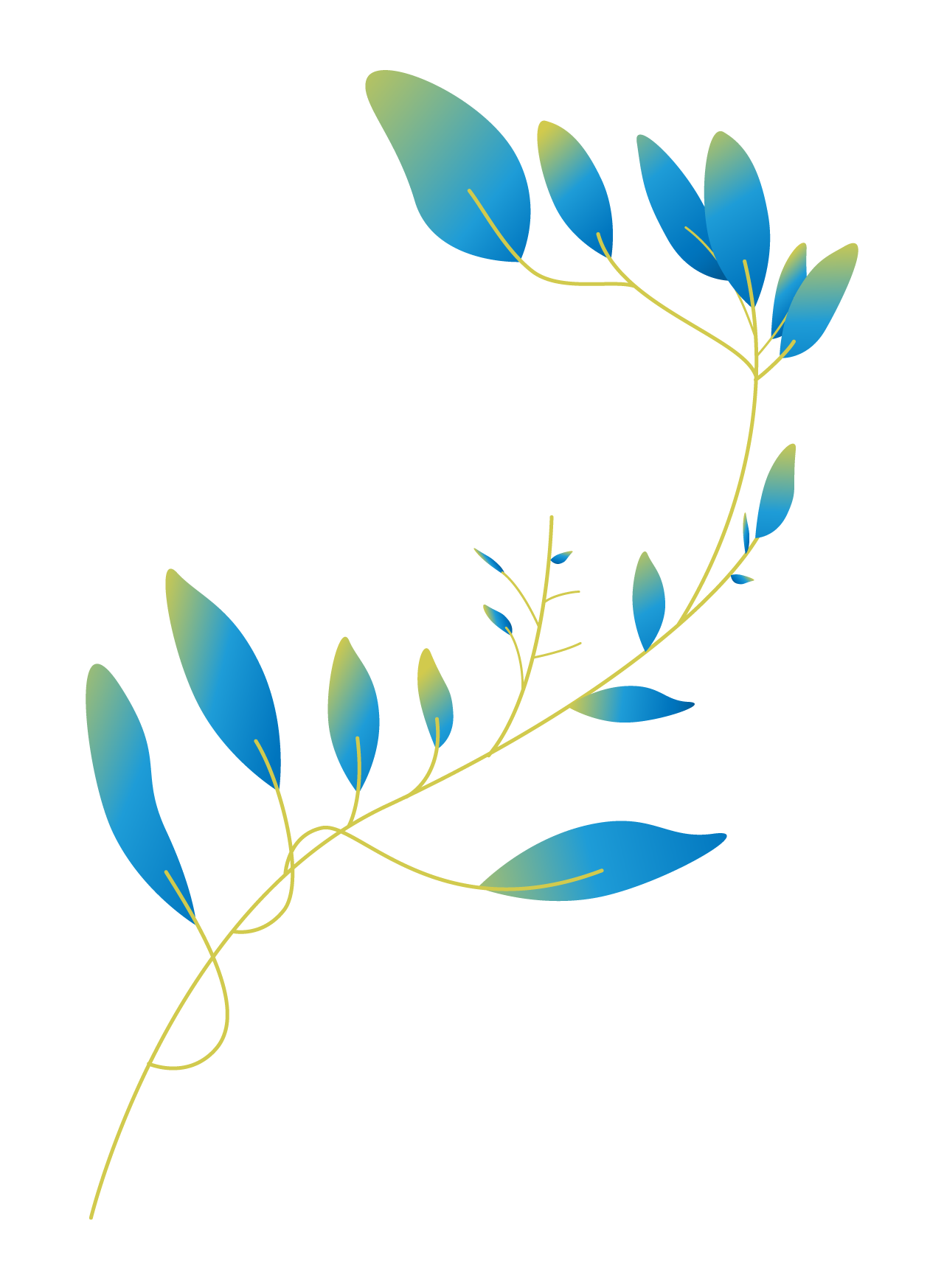 Plants03