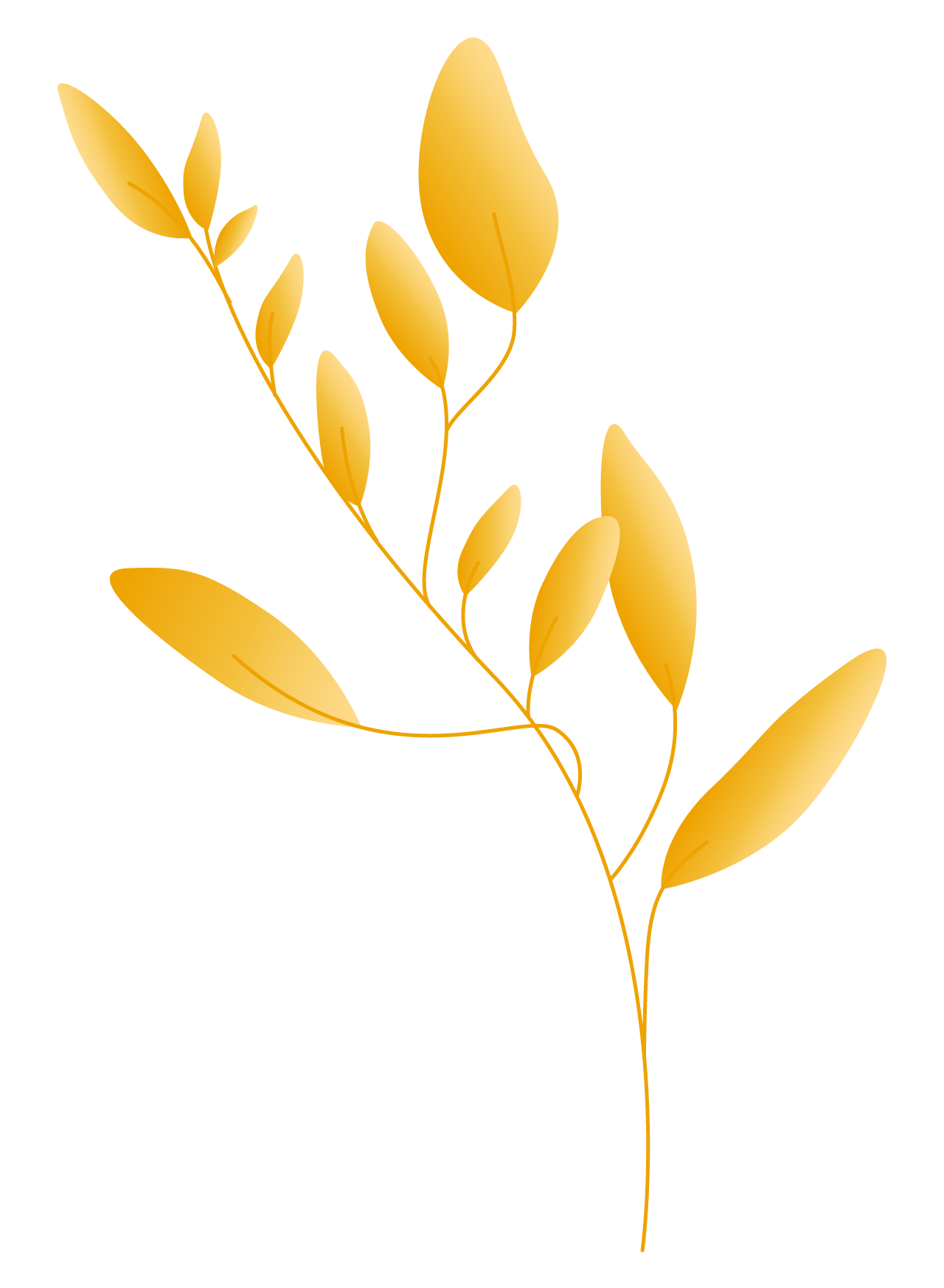 Plants06