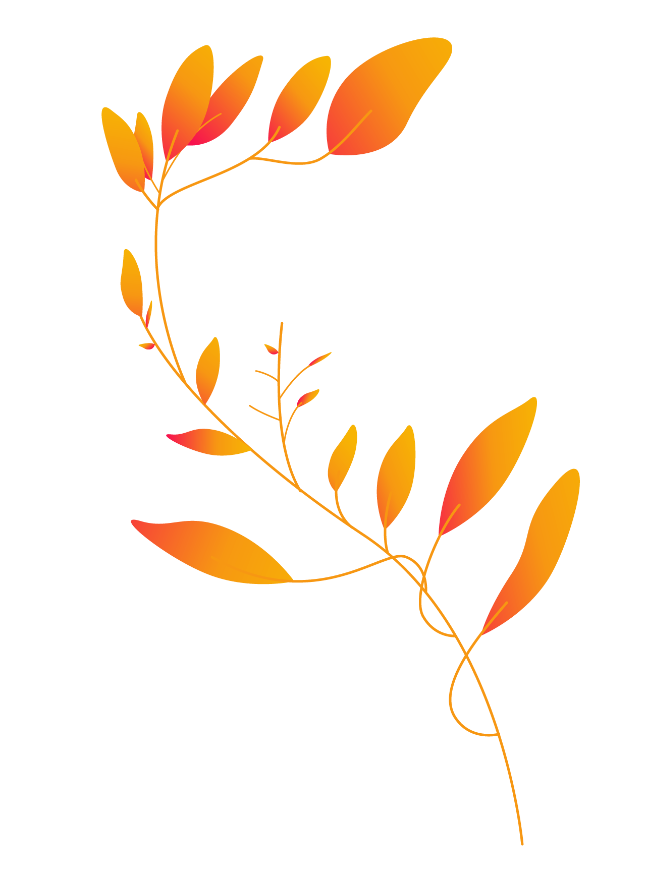 Plants11 copy