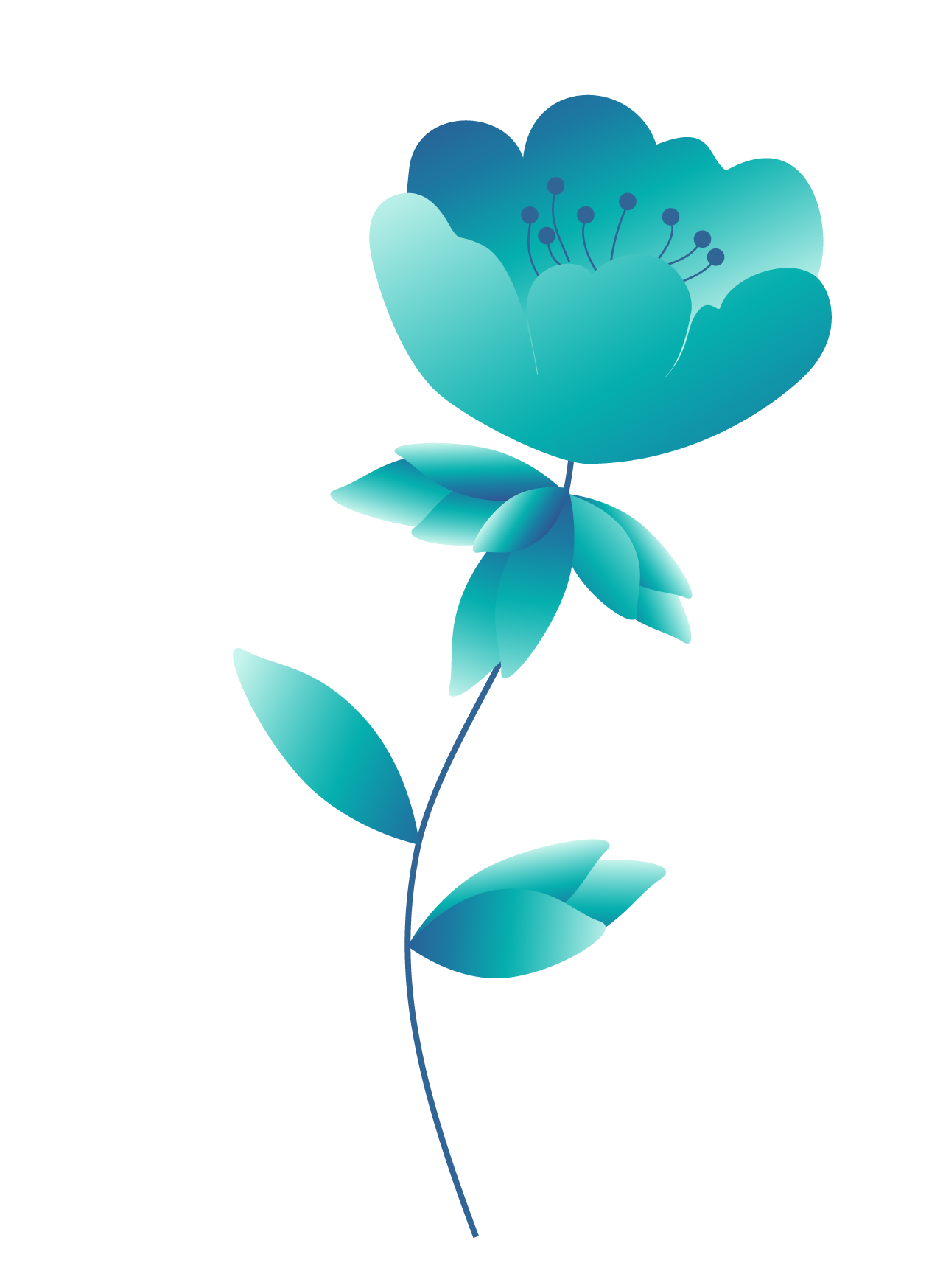 Plants12-1