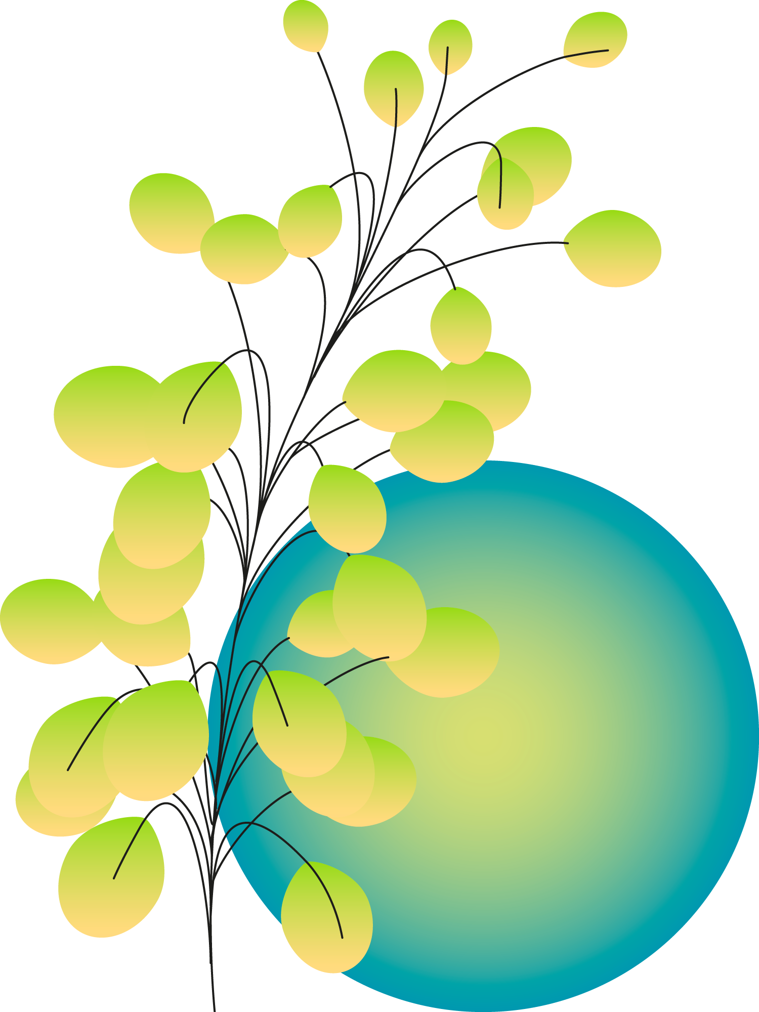 Plants+circles-1
