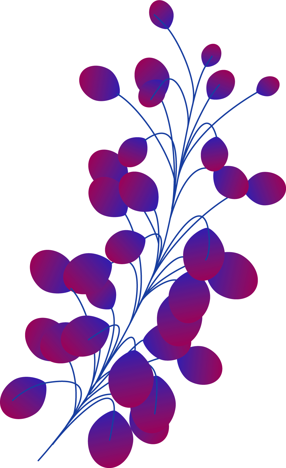 Plants+circles-M11B-1