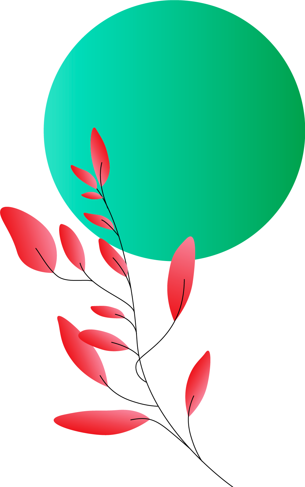 Plants+circles-M12