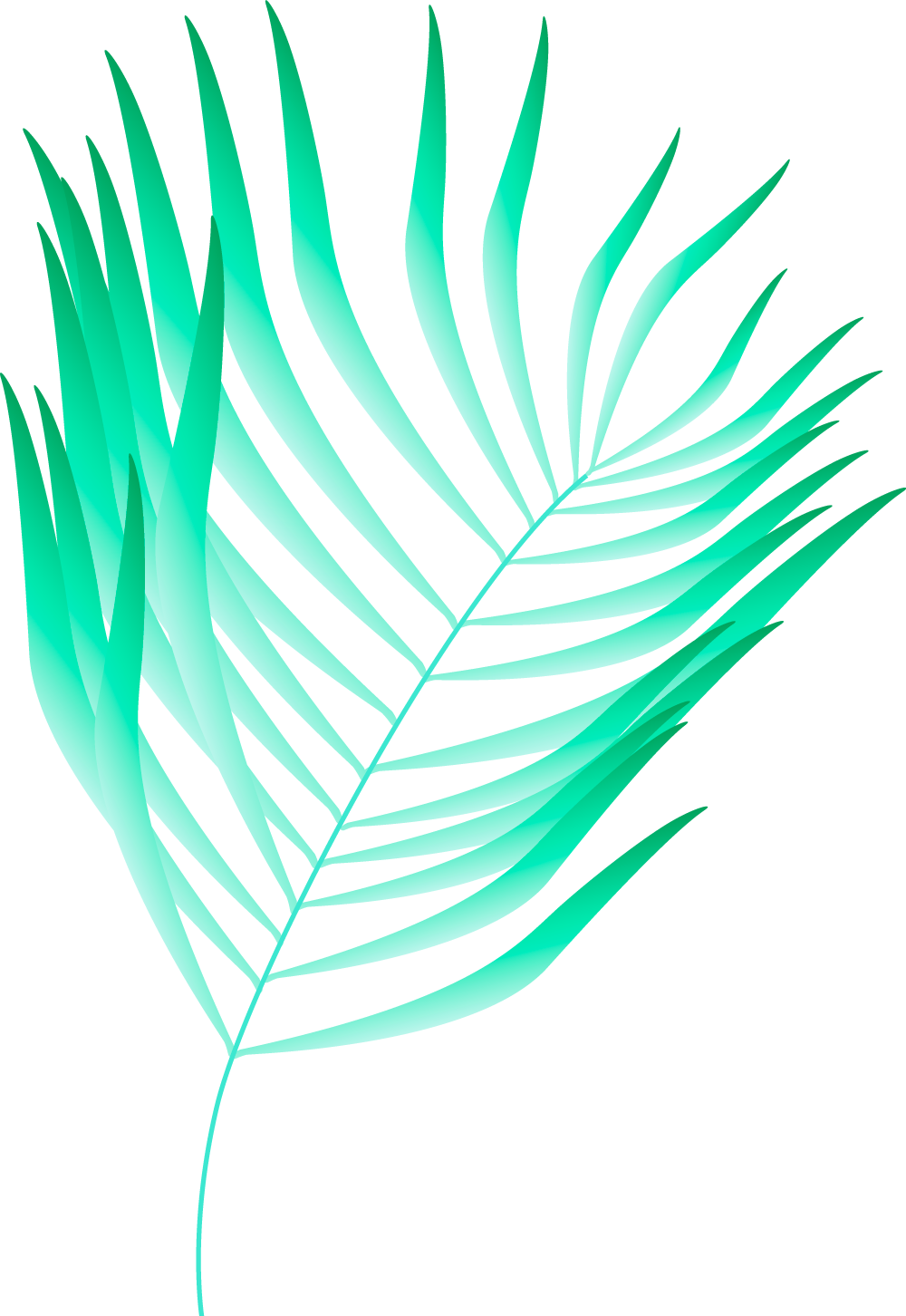 Plants+circles-M12A