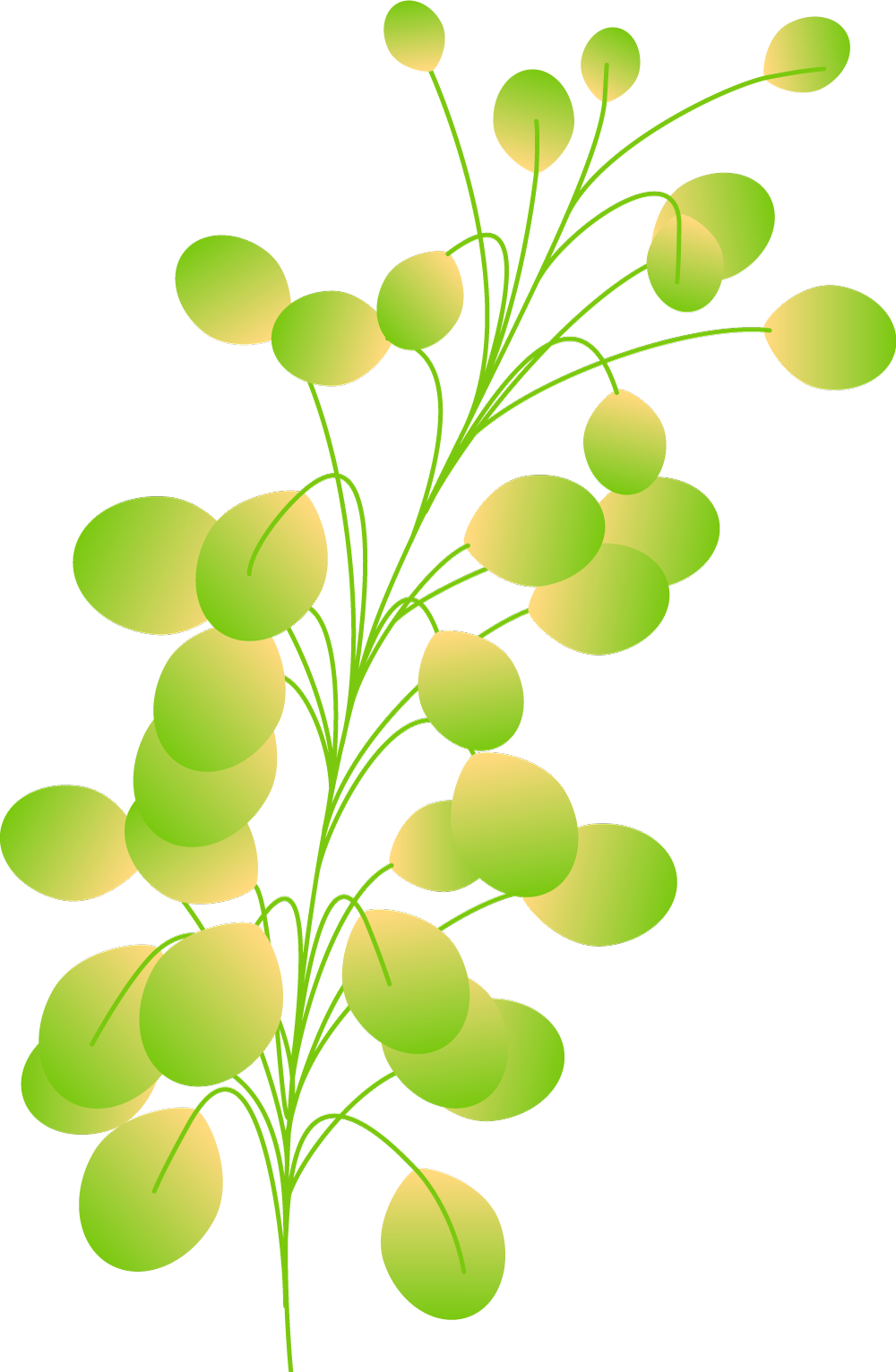 Plants+circles-M13-1