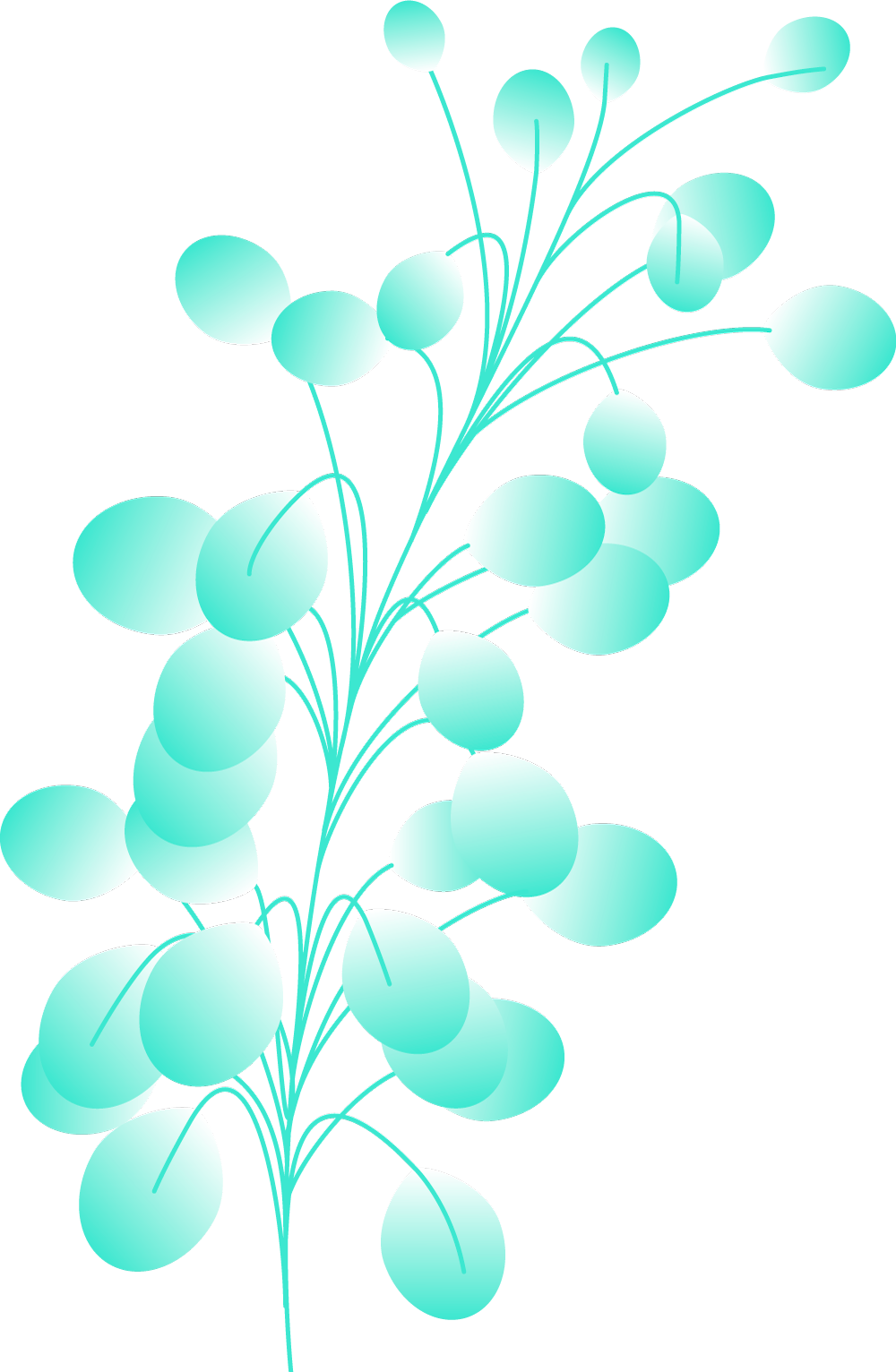 Plants+circles-M13