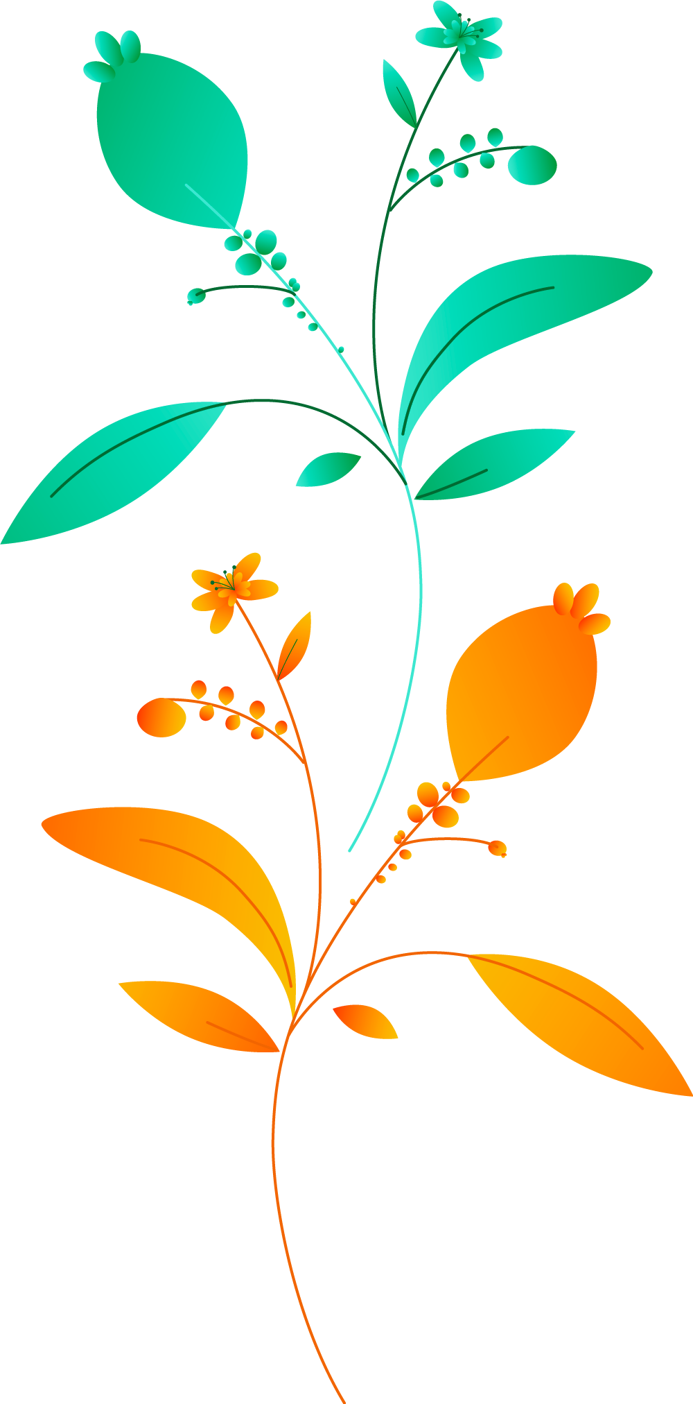 Plants+circles-M14B