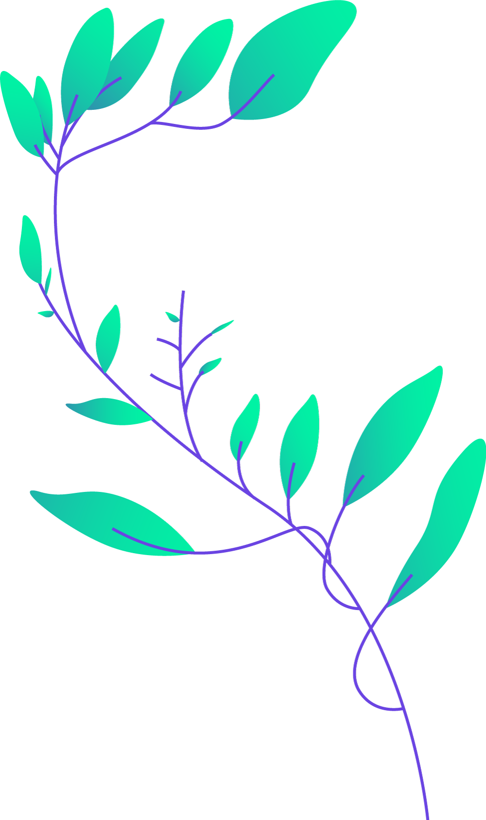 Plants+circles-M2-1