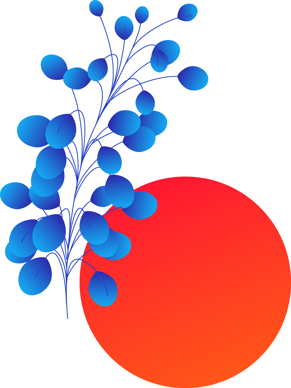 Plants+circles-M2-a