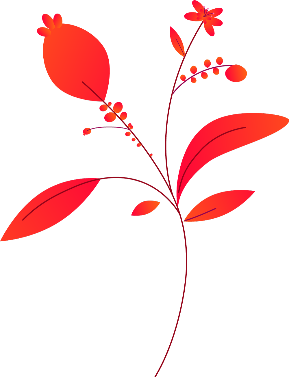 Plants+circles-M2-b