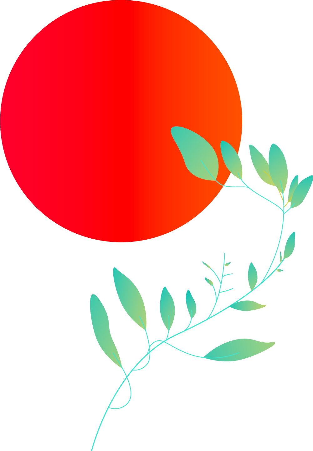Plants+circles-M20B